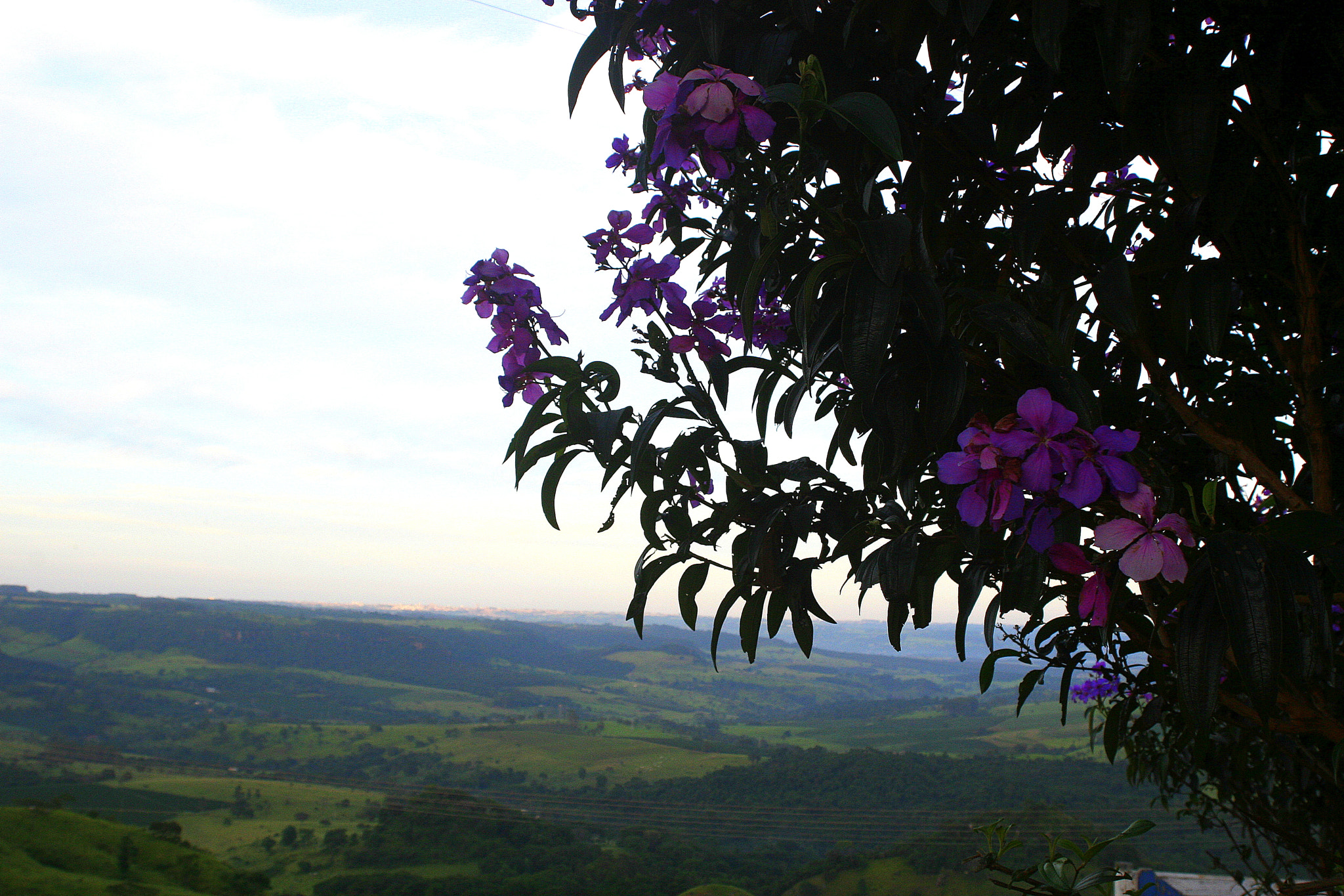 Canon EOS 30D sample photo. The view photography