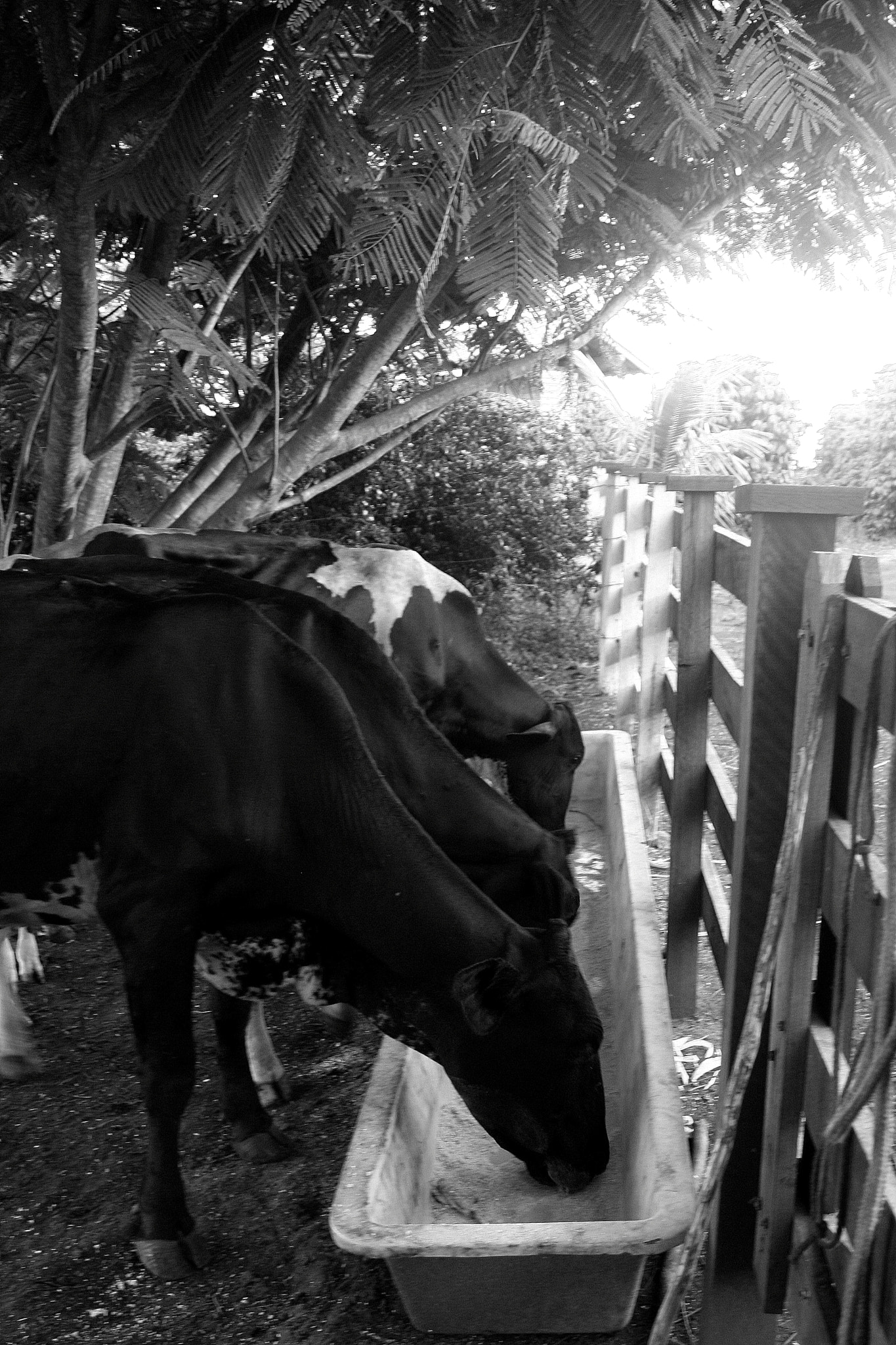 Canon EOS 30D sample photo. 3 photography