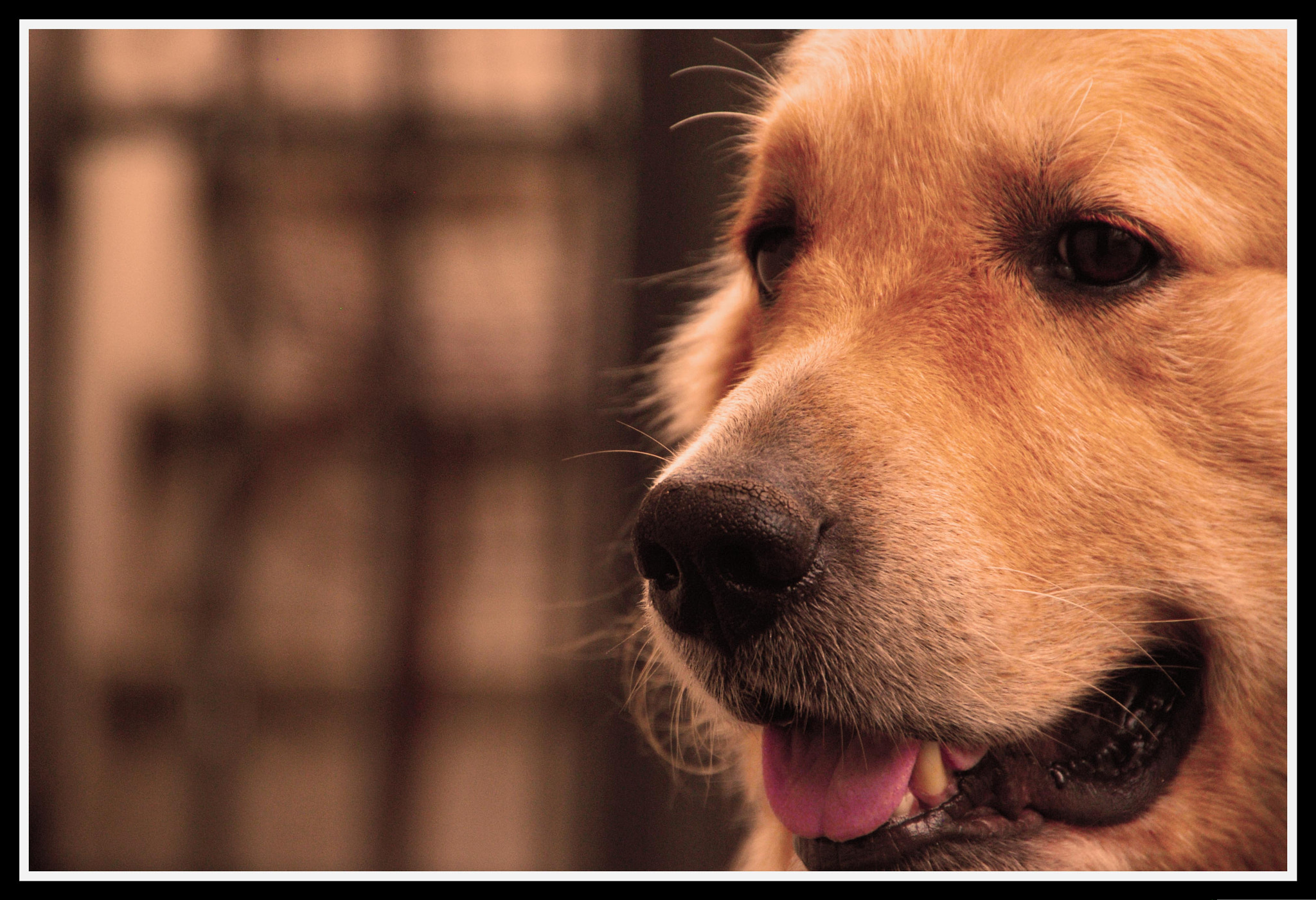 Sigma 18-250mm F3.5-6.3 DC OS HSM sample photo. 16159720186.jpg photography