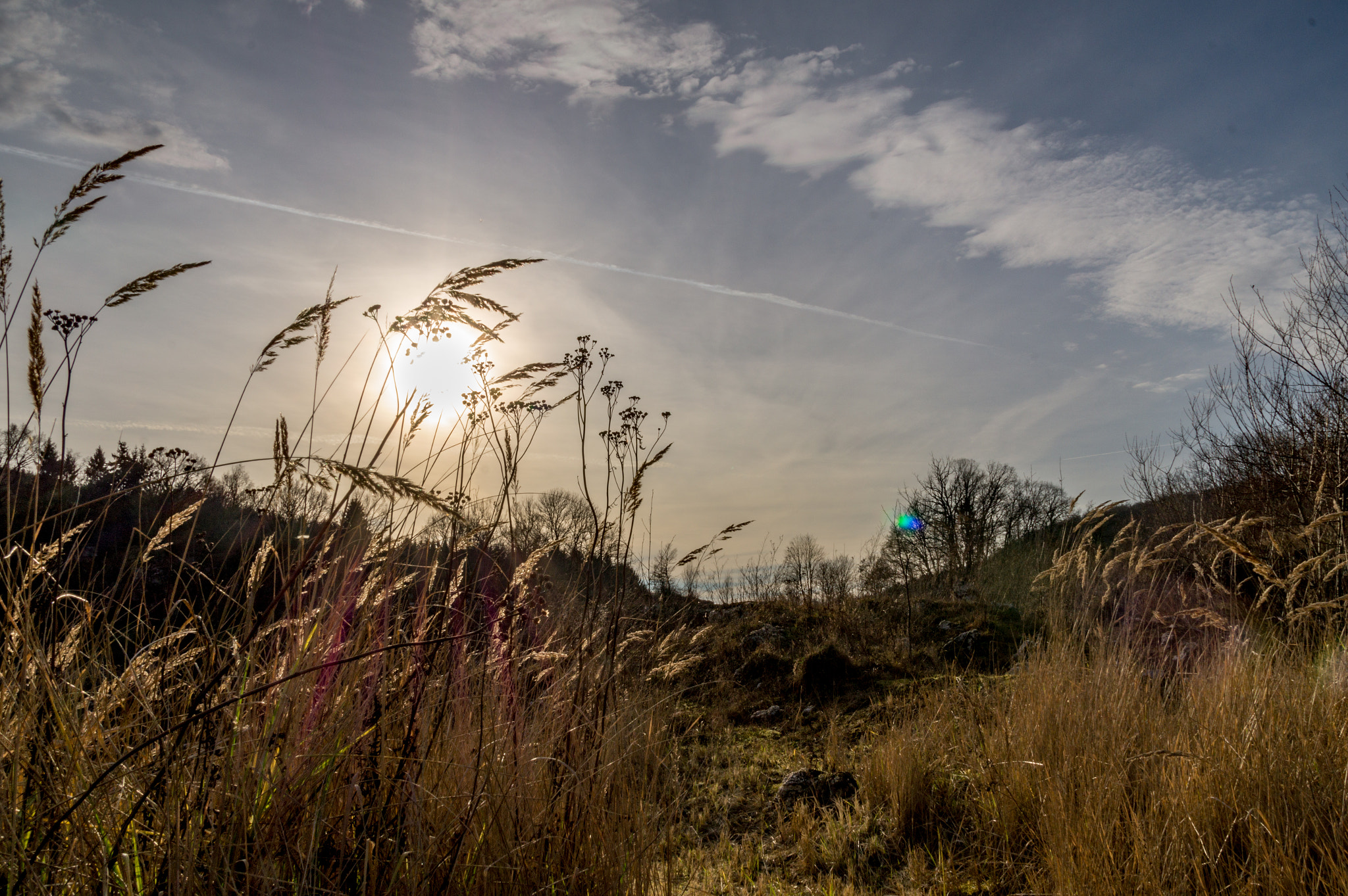 Sony SLT-A58 + Tamron AF 28-105mm F4-5.6 [IF] sample photo. Seasons in the sun photography