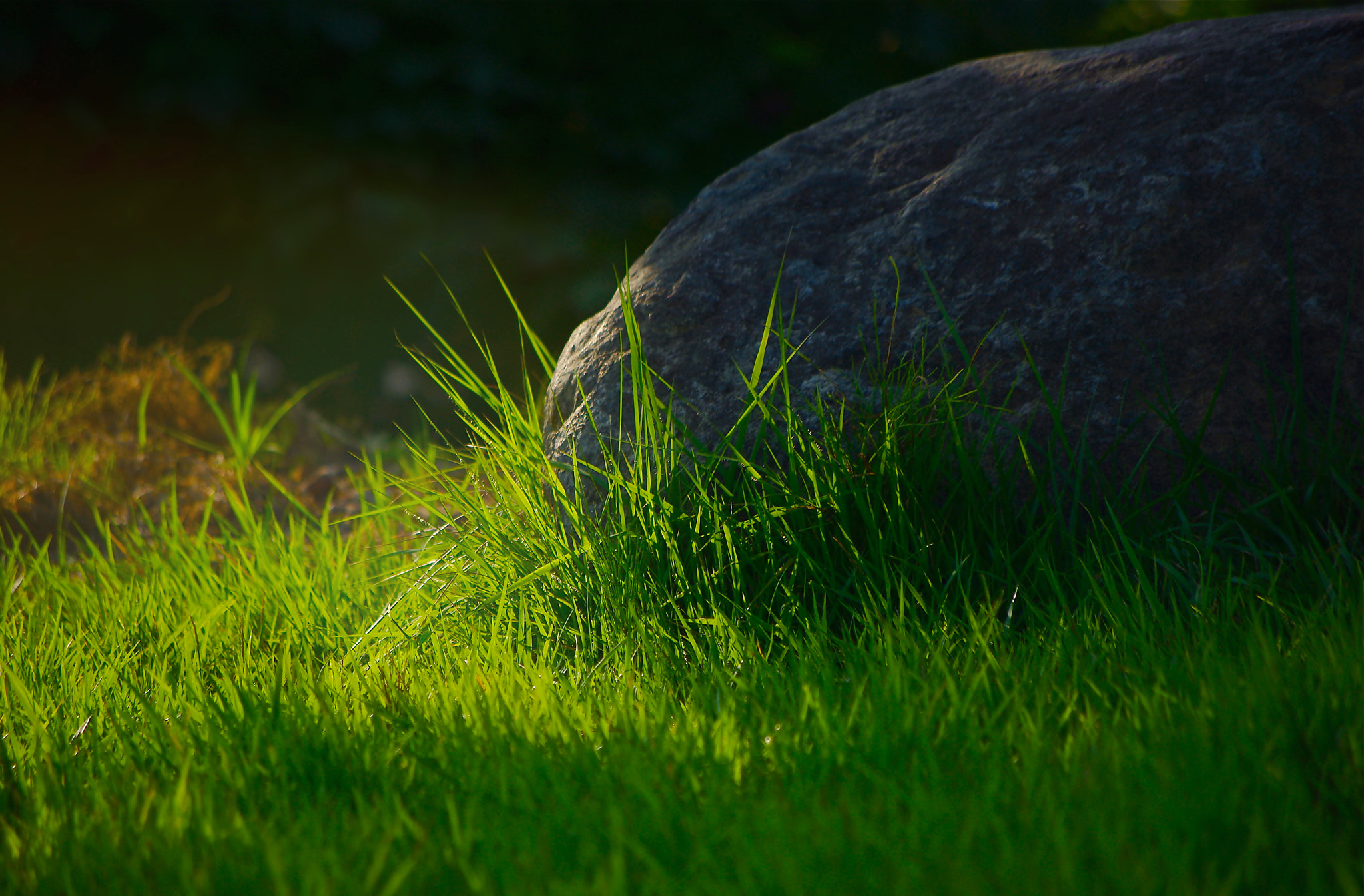 Pentax K200D + Pentax smc DA 50-200mm F4-5.6 ED sample photo. Awakening photography