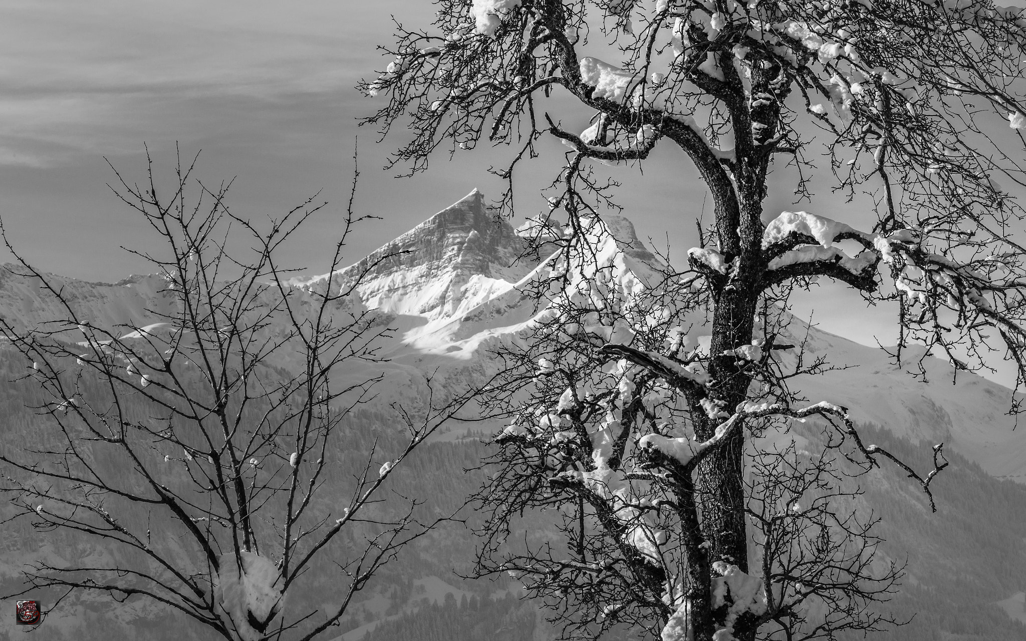 Leica APO-Summicron-M 90mm F2 ASPH sample photo. Winter: face to face with the mountains - waiting for spring photography