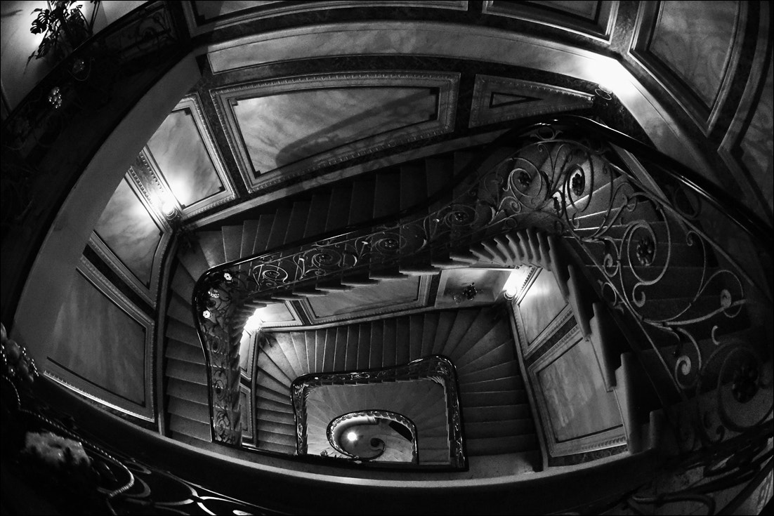 Nikon D750 + AF Nikkor 35mm f/2 sample photo. Spiral staircase photography