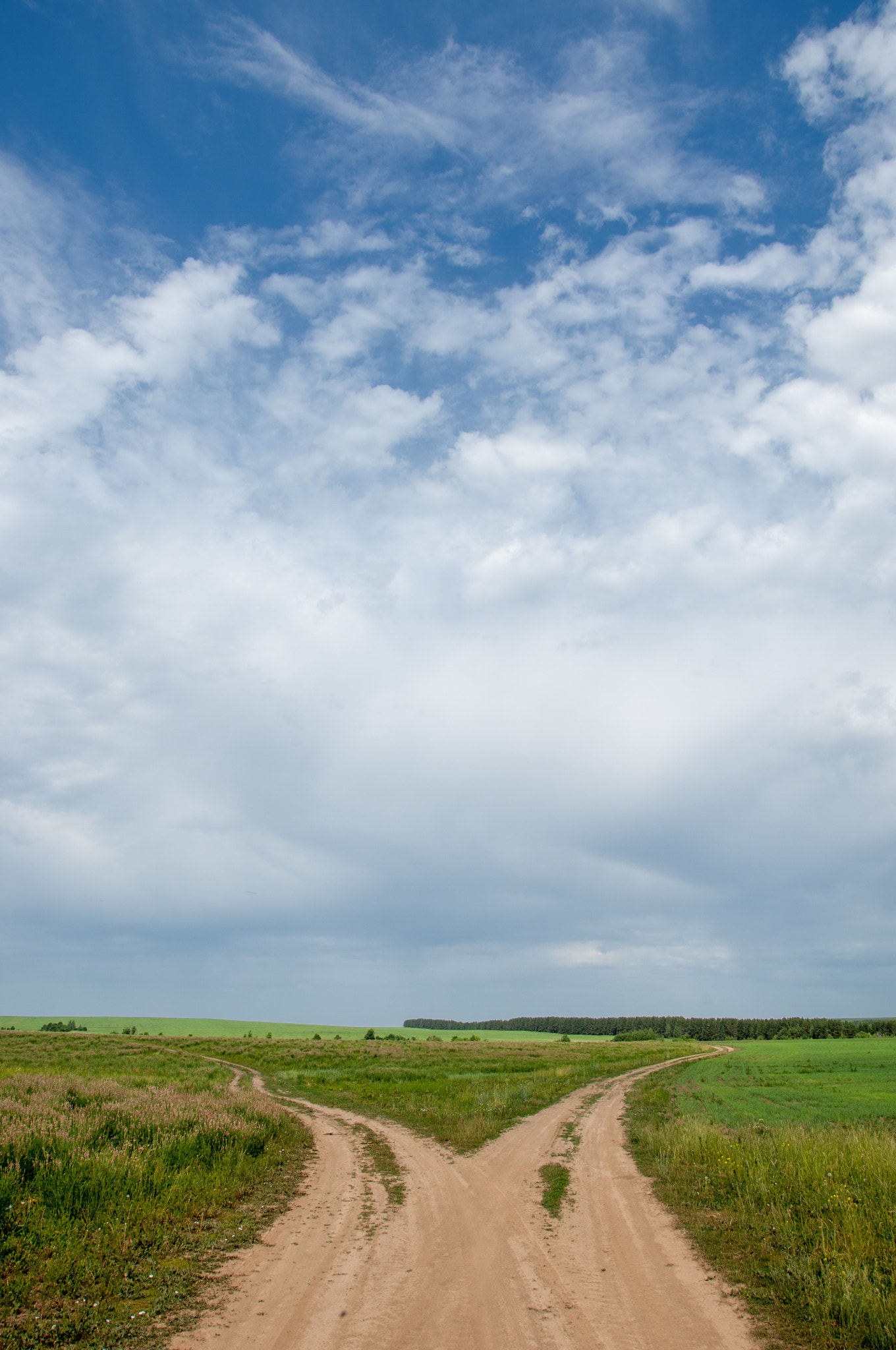 Nikon D2X sample photo. Dirt dirt road photography