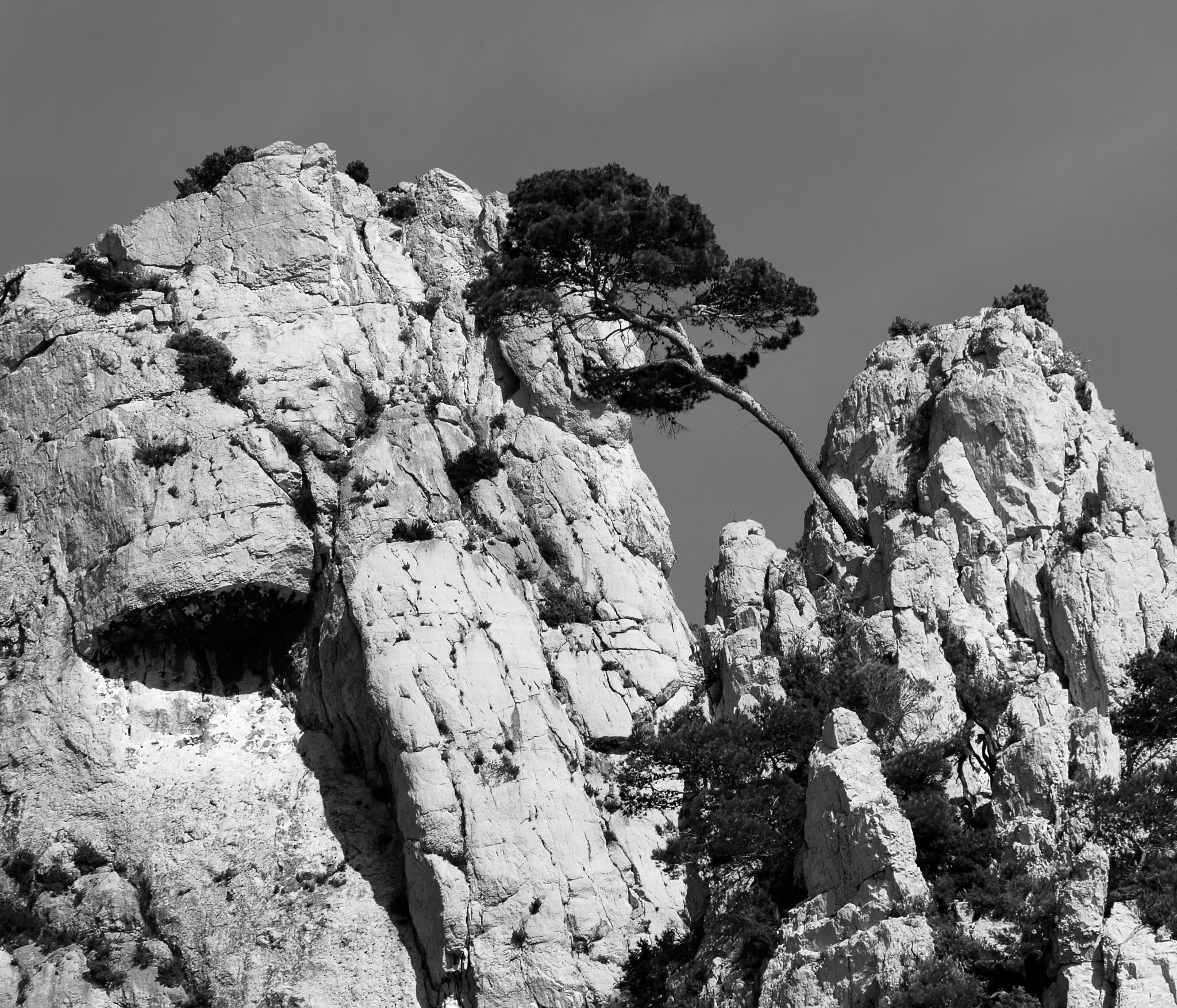 Sigma 50-150mm F2.8 EX APO DC HSM II sample photo. Resilience photography
