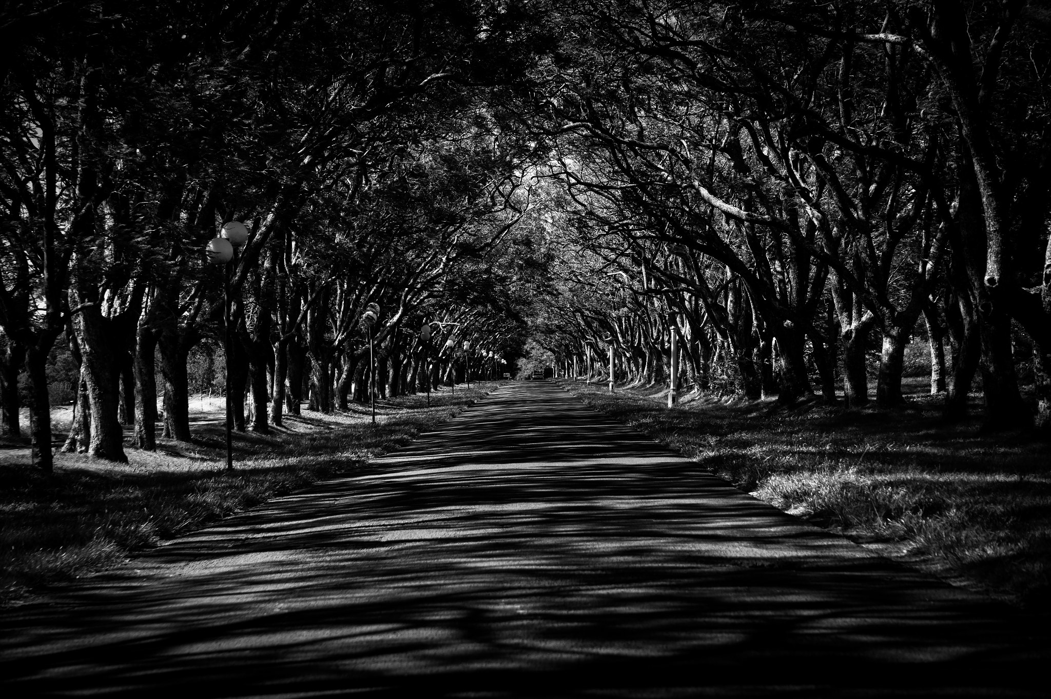 Sony Alpha a3500 sample photo. The tunnel. photography