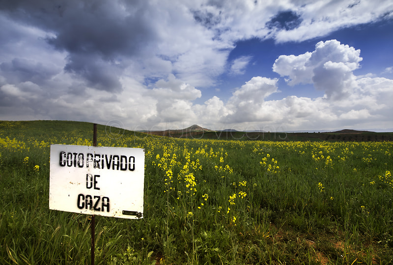 Olympus E-5 + OLYMPUS  7-14mm Lens sample photo. Coto de caza photography