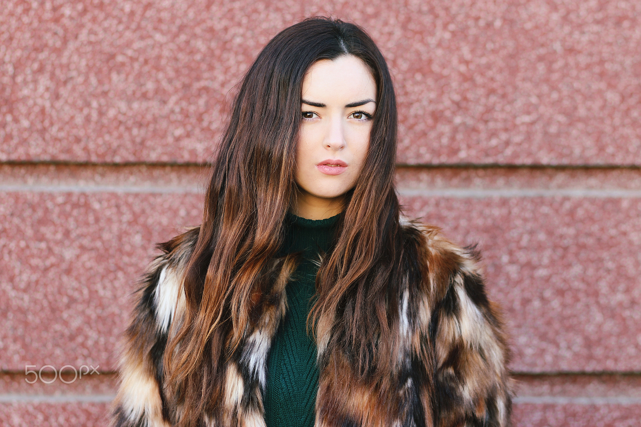 Beautiful Woman in Luxury Fur Jacket