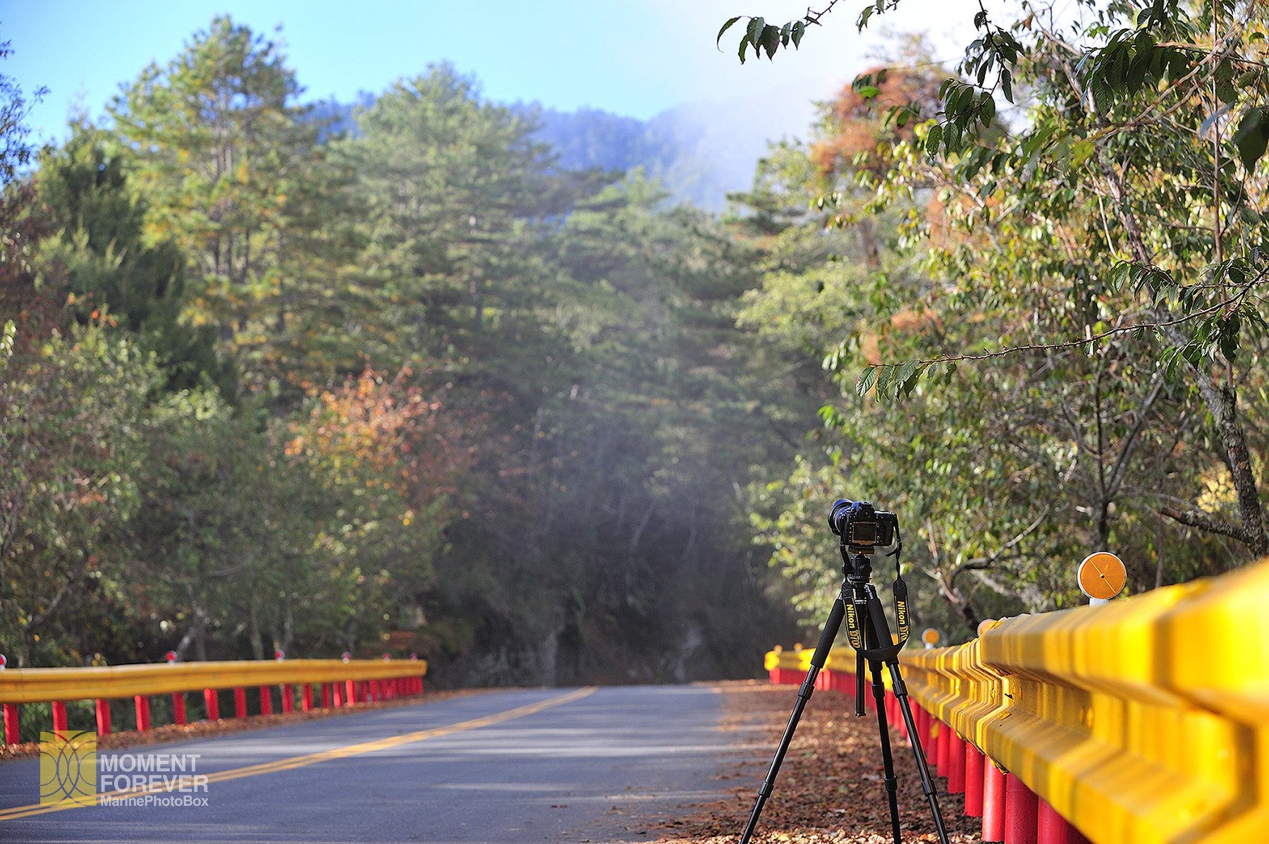 AF-S Zoom-Nikkor 80-200mm f/2.8D IF-ED sample photo. Camera enjoy his afternoon in a beautiful mountain photography