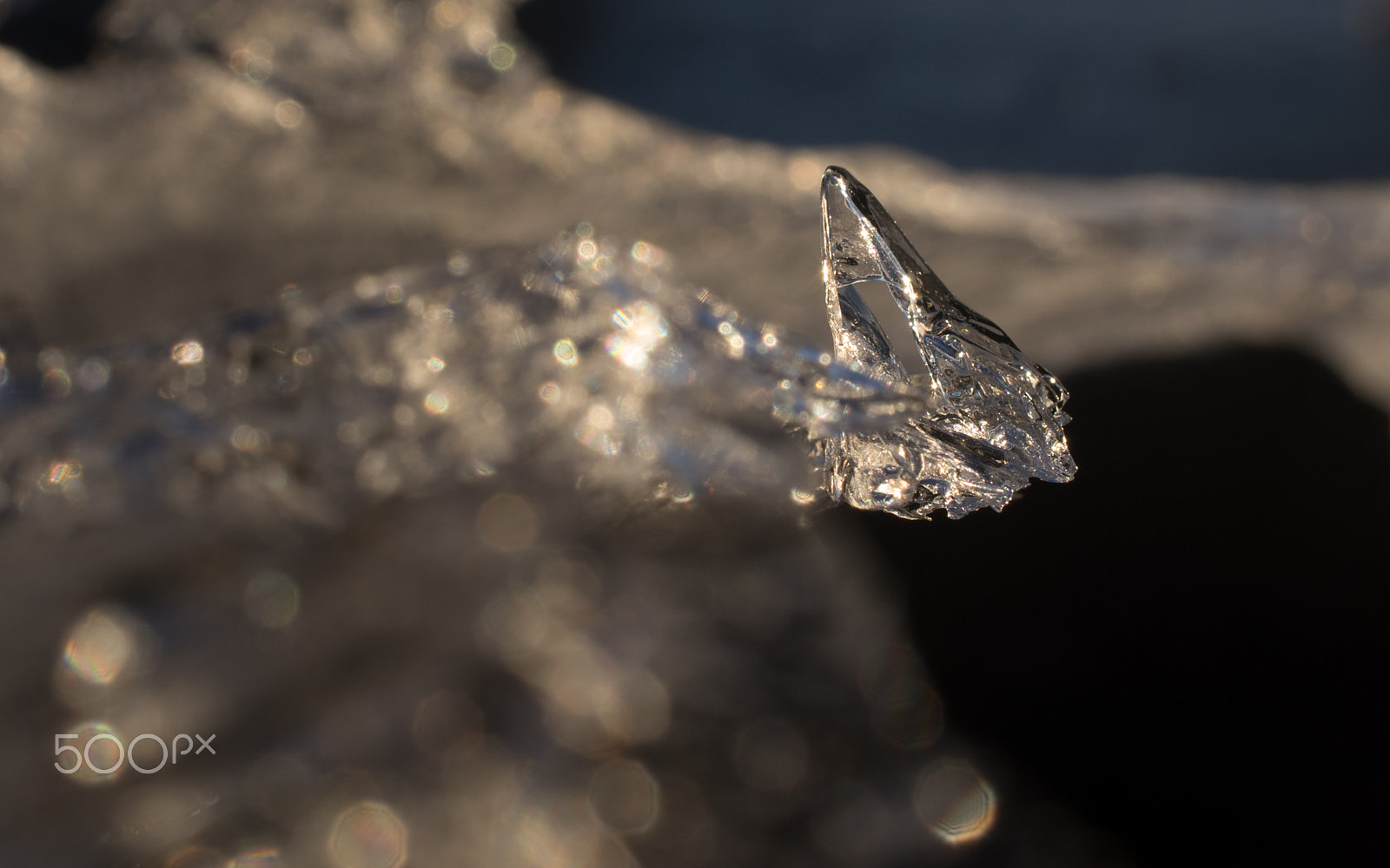 Pentax smc DA 35mm F2.8 Macro Limited sample photo. Frosen mini sculpture photography