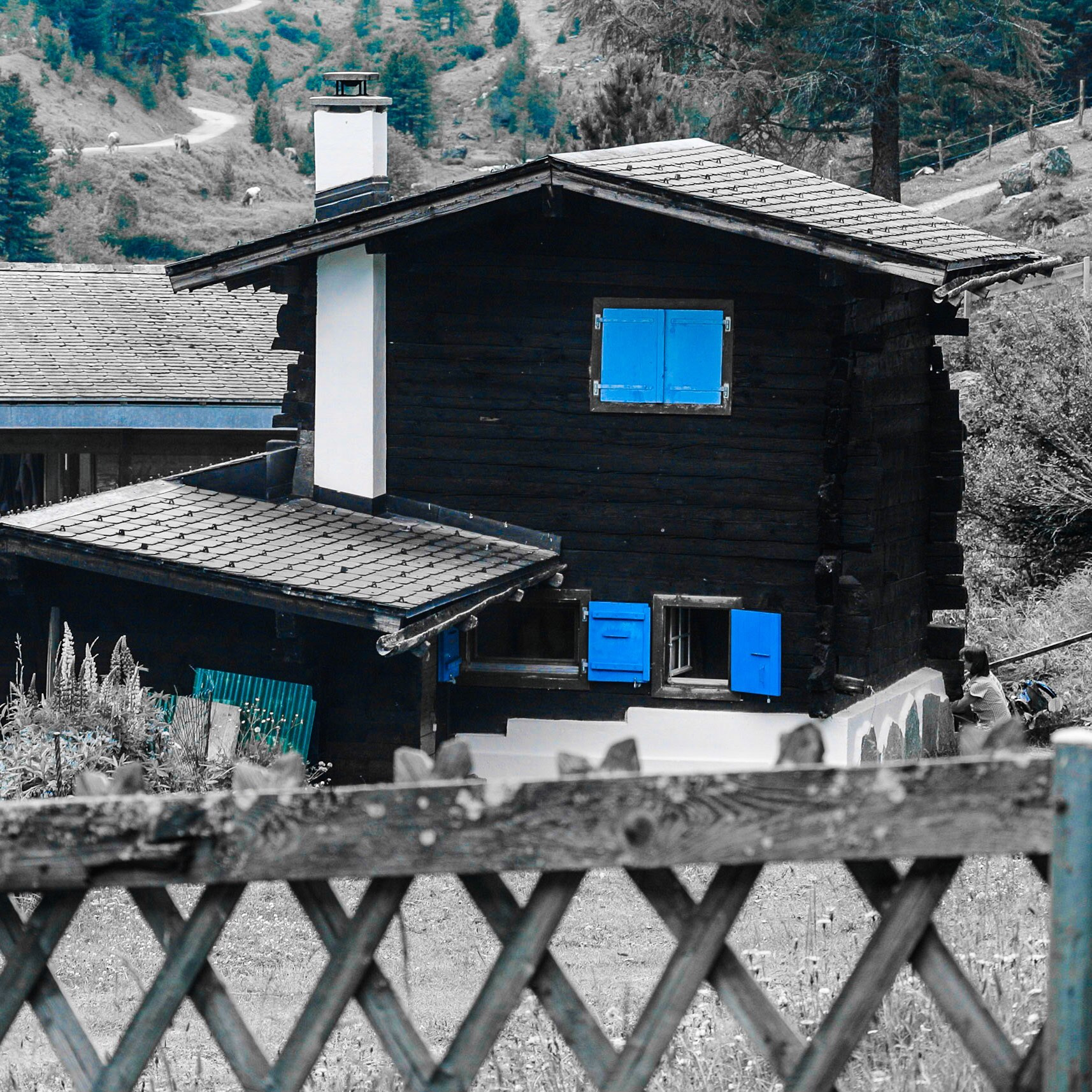 Nikon 1 Nikkor VR 30-110mm F3.8-5.6 sample photo. Chalet photography