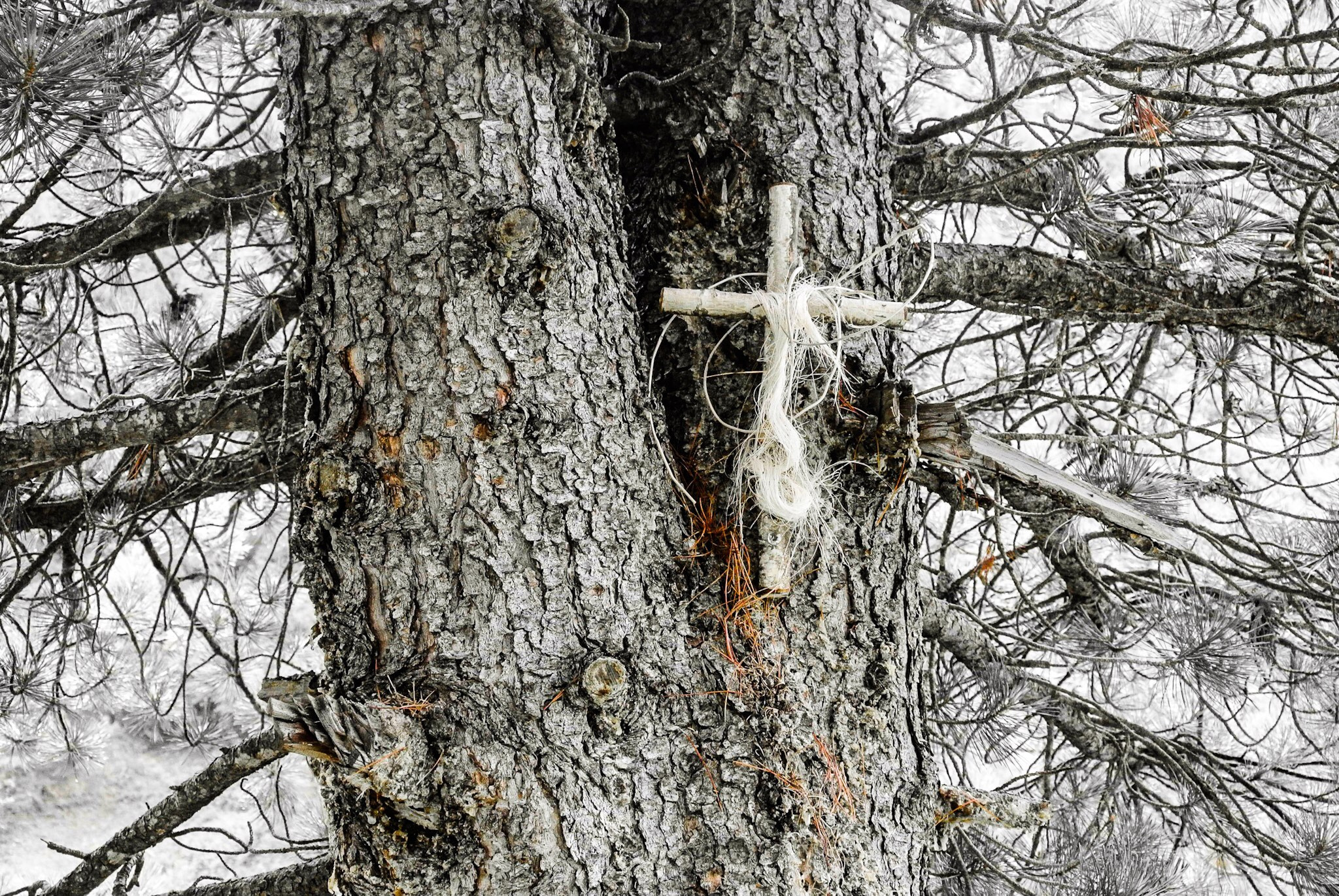 Nikon 1 J2 sample photo. Cross photography