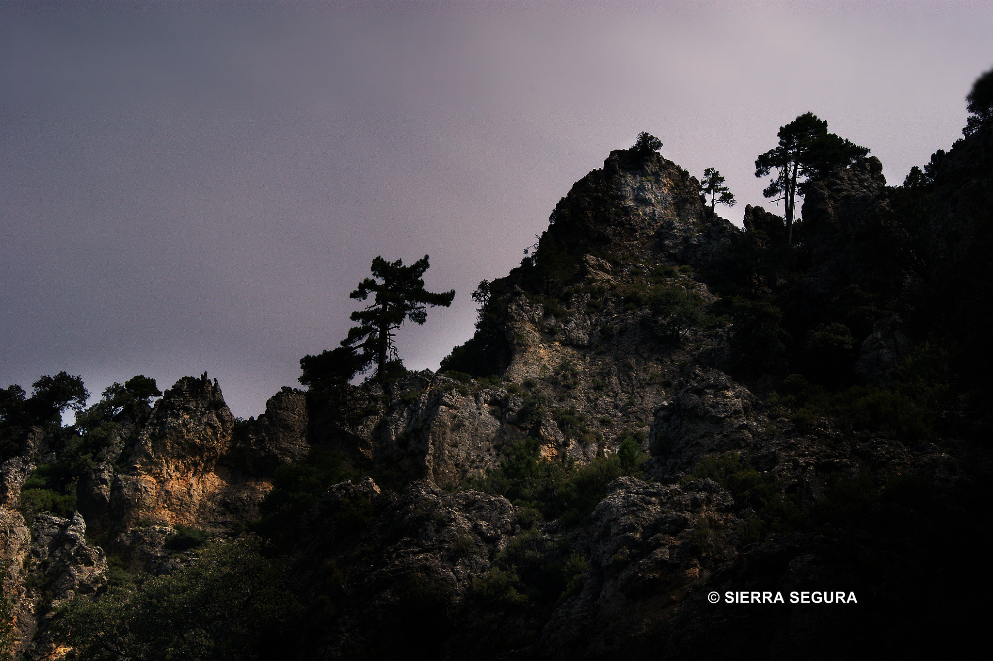 Sony Alpha DSLR-A380 sample photo. Amanece. photography