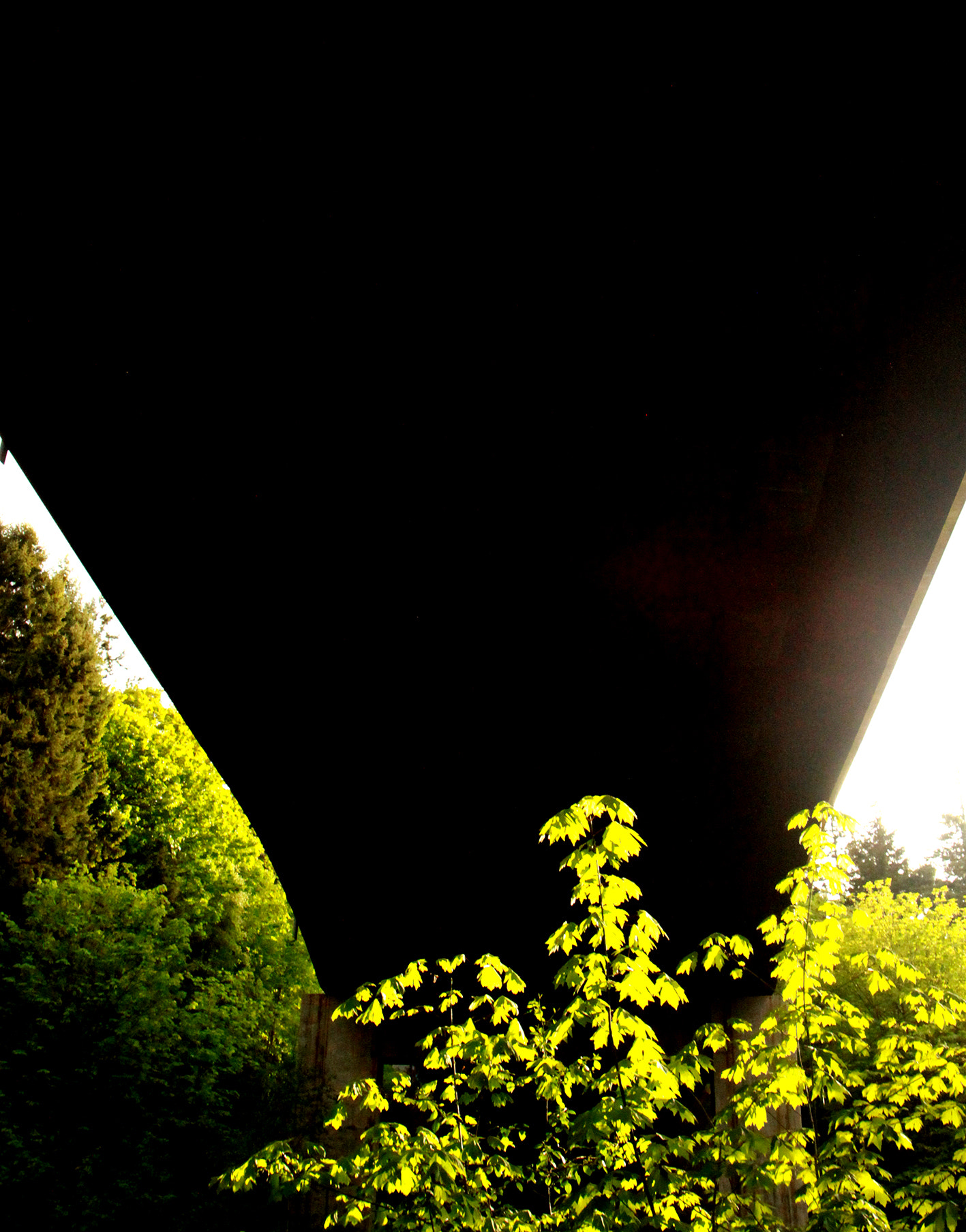 Tamron AF 19-35mm f/3.5-4.5 sample photo. Bridge to nowhere photography