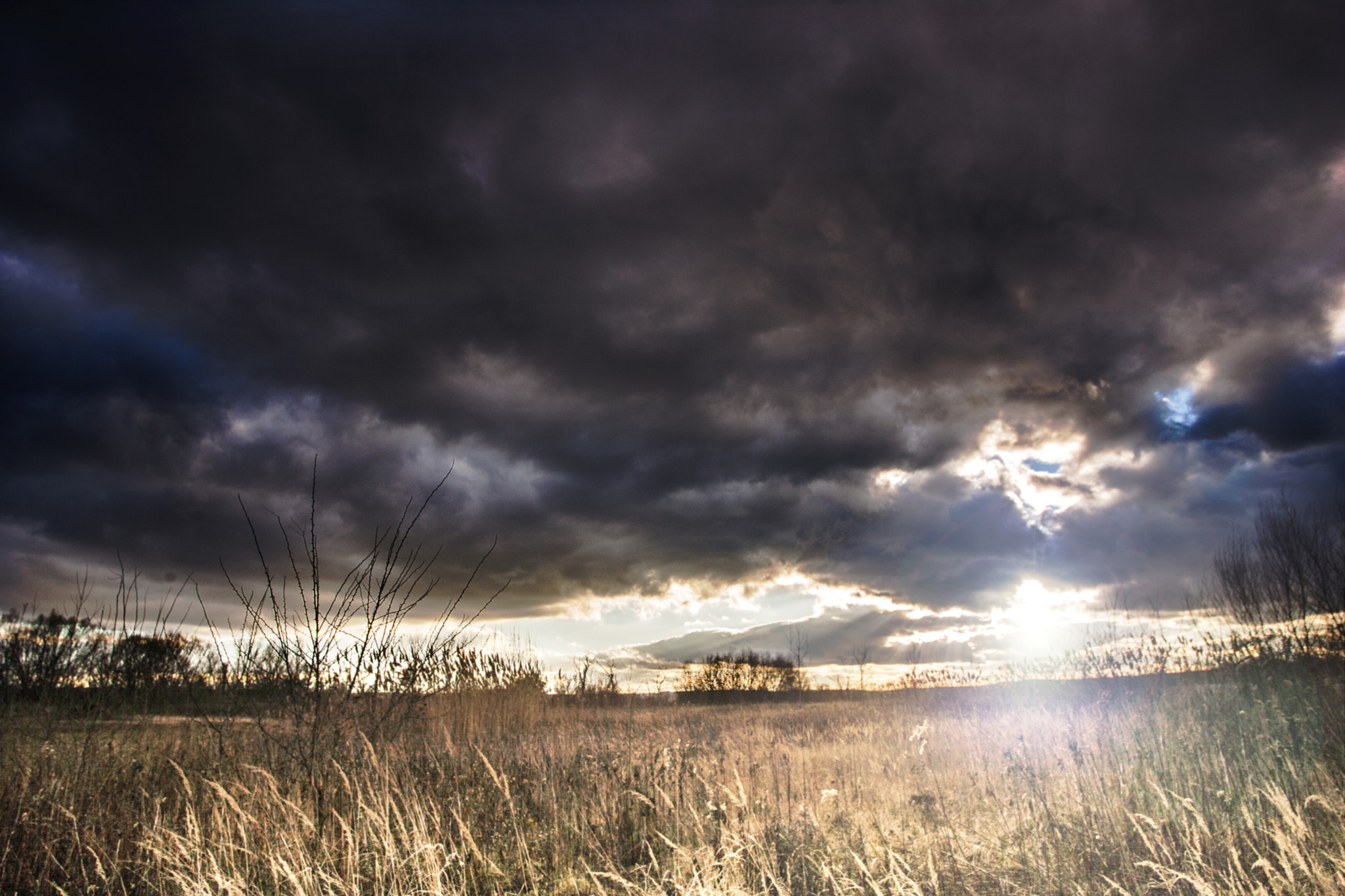 Canon EOS-1D Mark II N sample photo. Storm is coming photography