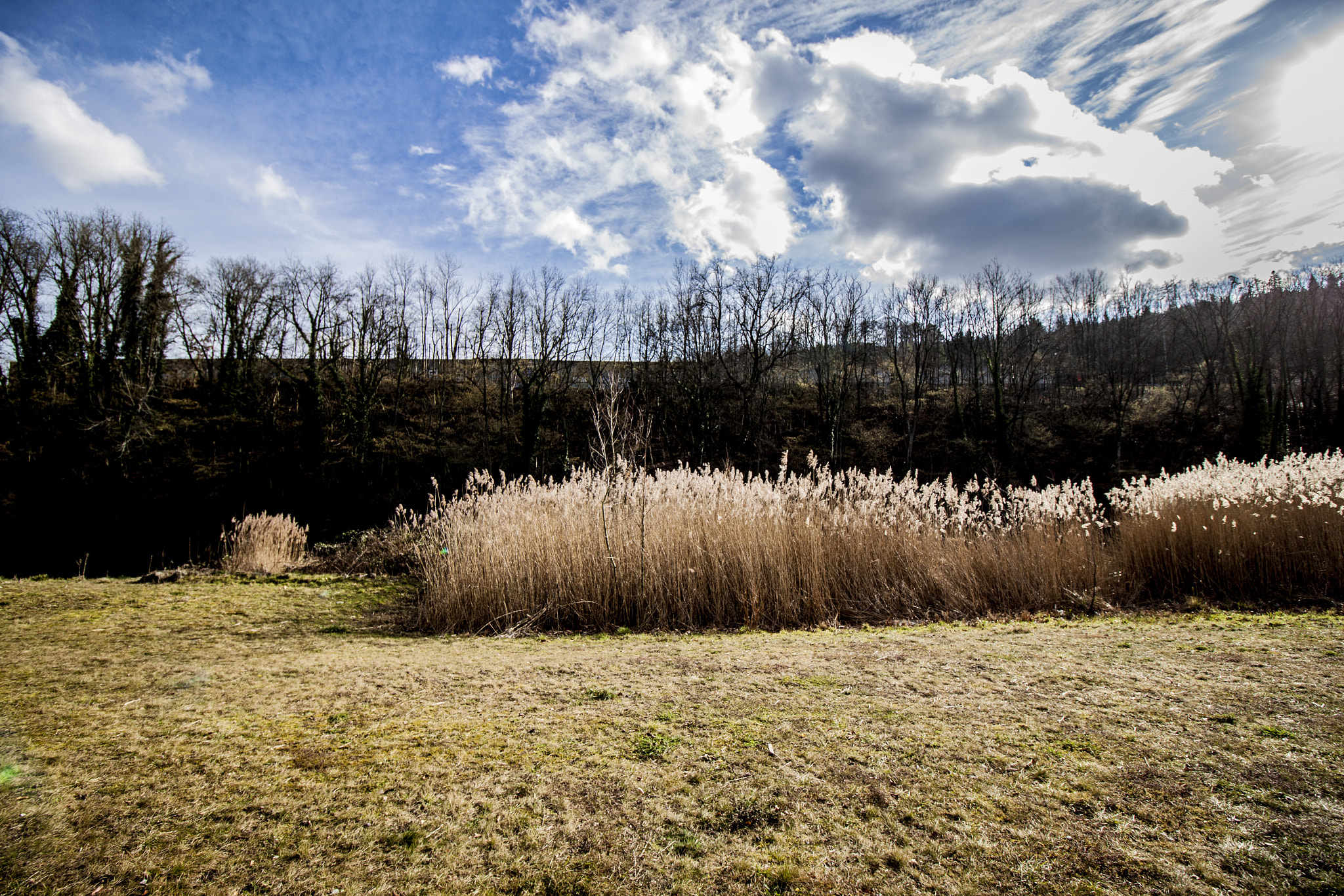 Canon EF-S 10-18mm F4.5–5.6 IS STM sample photo