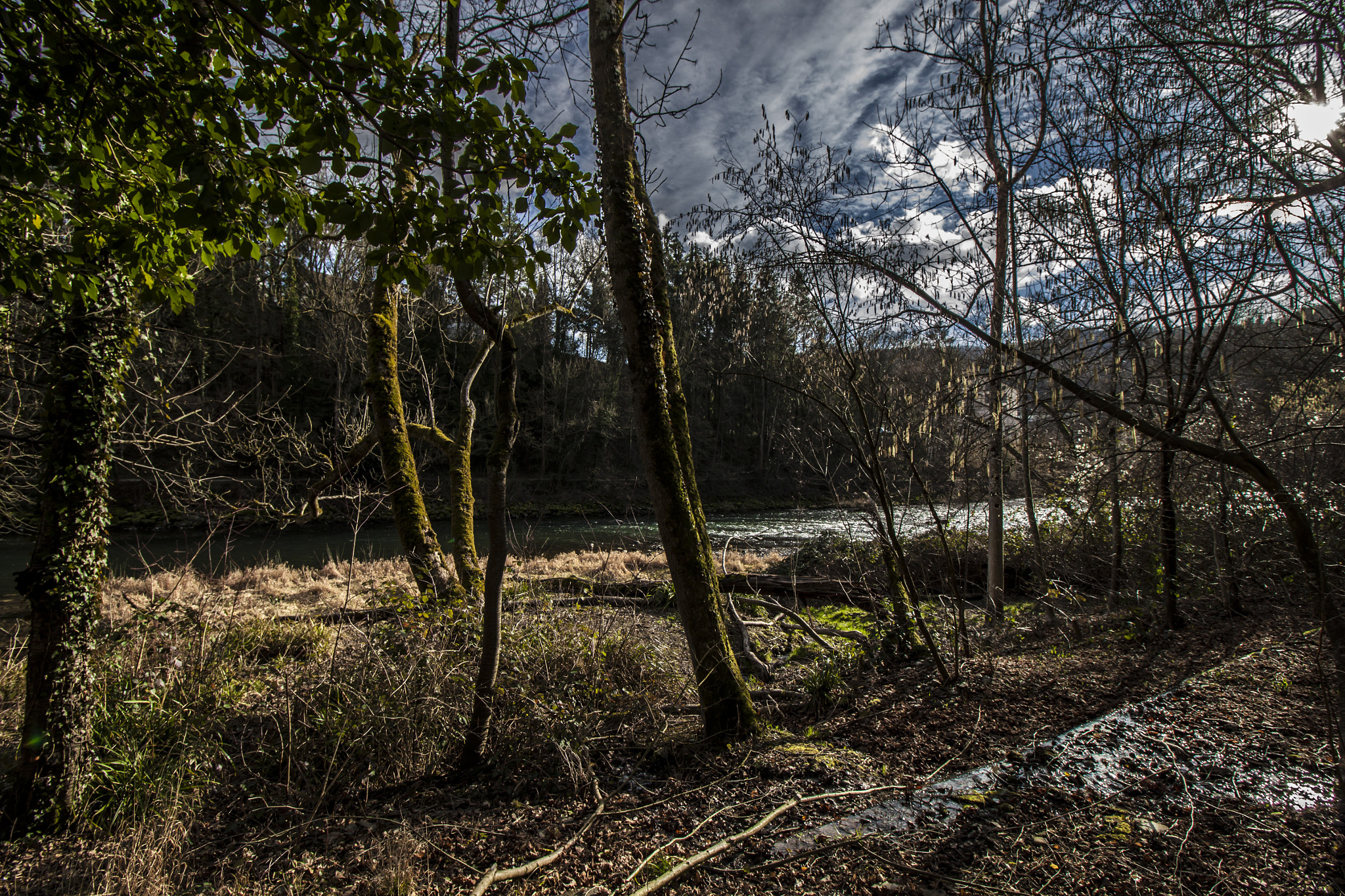 Canon EF-S 10-18mm F4.5–5.6 IS STM sample photo. 3_6.jpg photography
