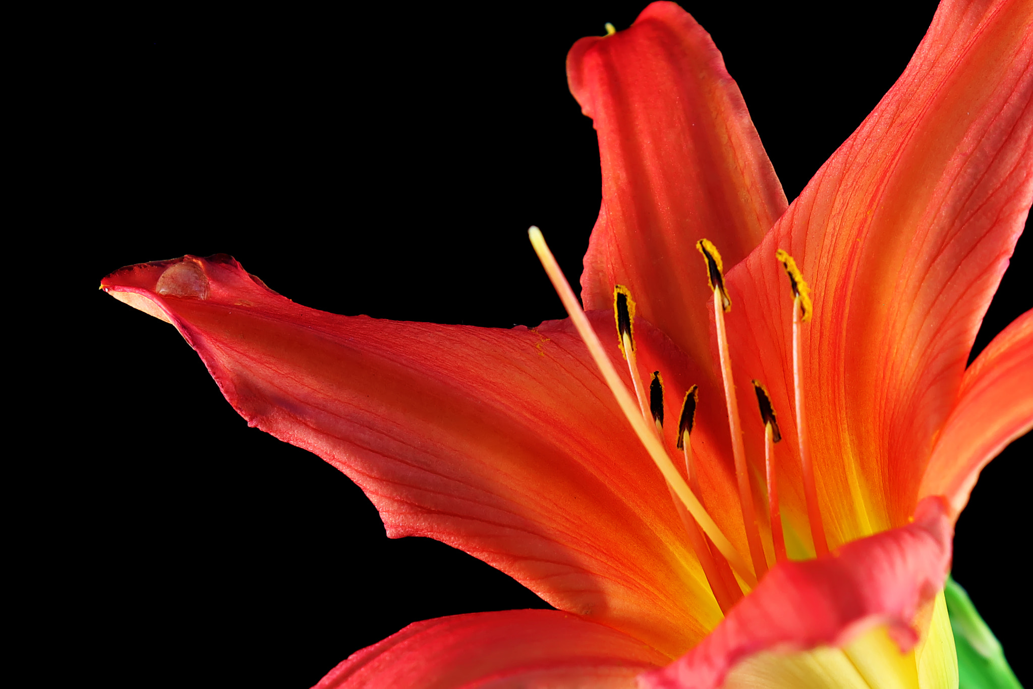Canon EF 70-200mm F2.8L IS II USM sample photo. Full force photography