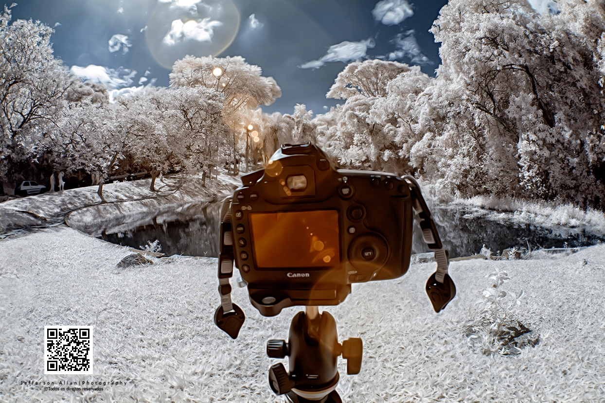 Canon EF 8-15mm F4L Fisheye USM sample photo. Infrared photography