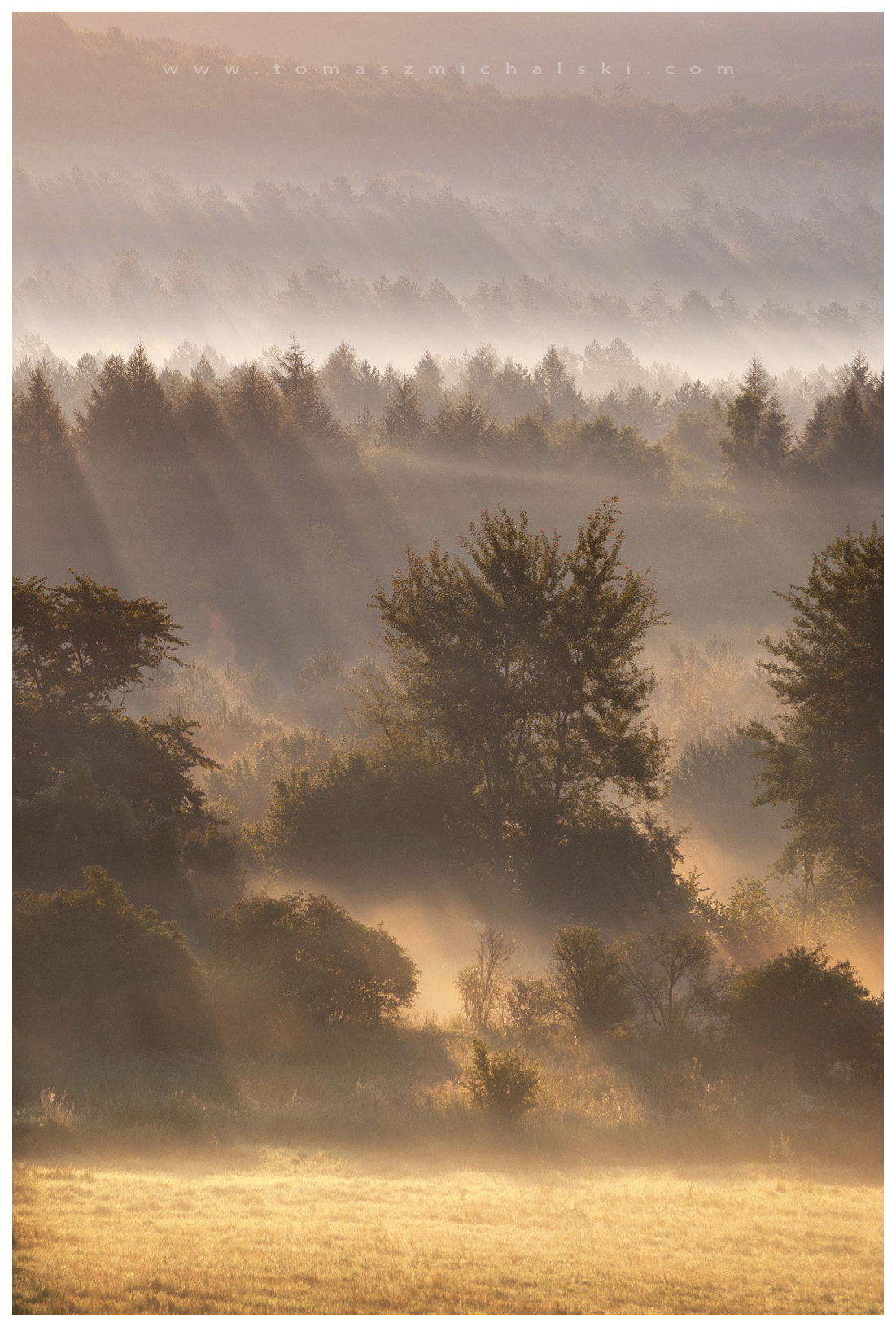 Pentax K10D sample photo. The foggy dawn. photography