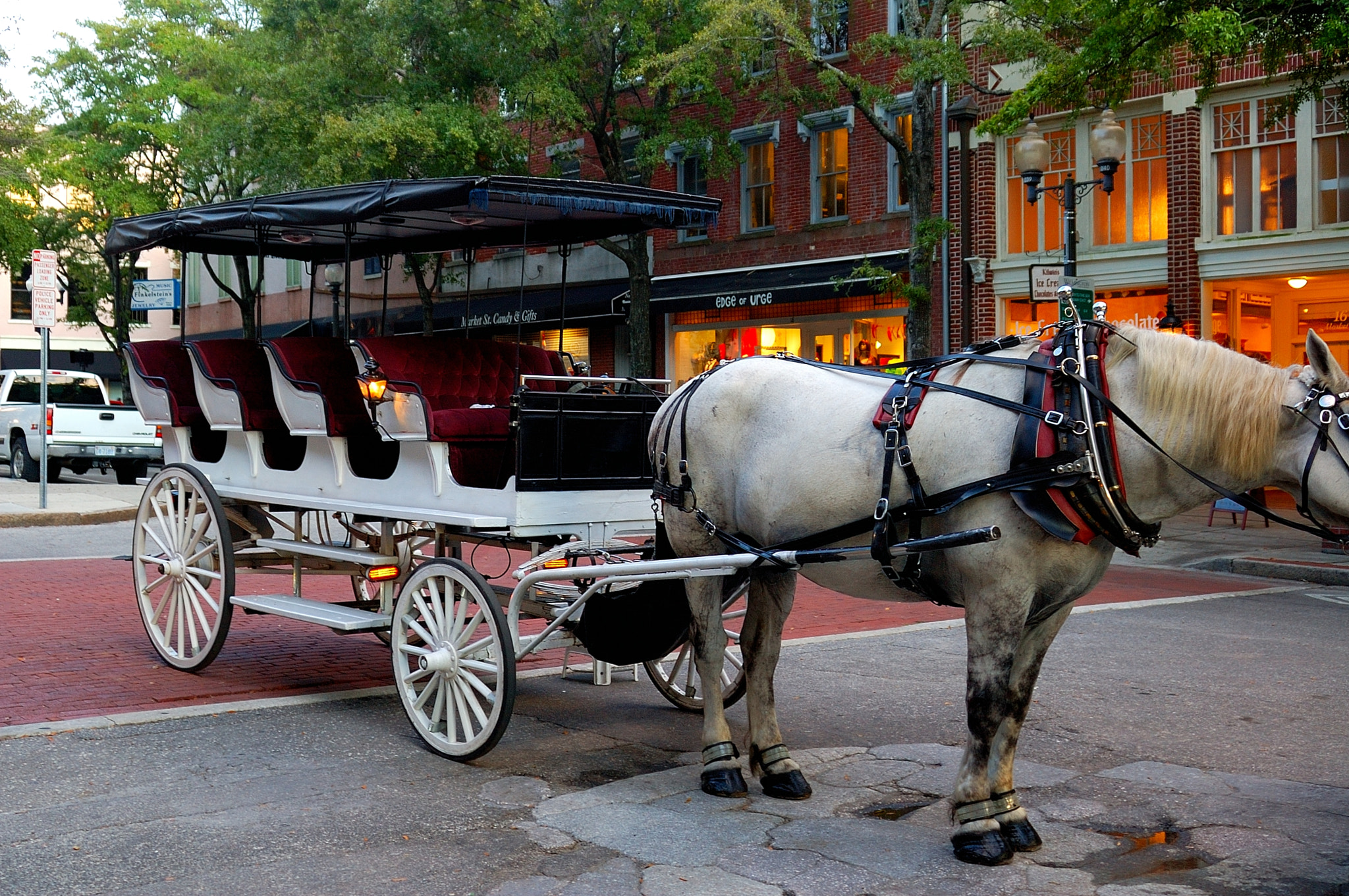 AF Zoom-Nikkor 28-80mm f/3.3-5.6G sample photo. Horse and buggy wait for people to ride photography