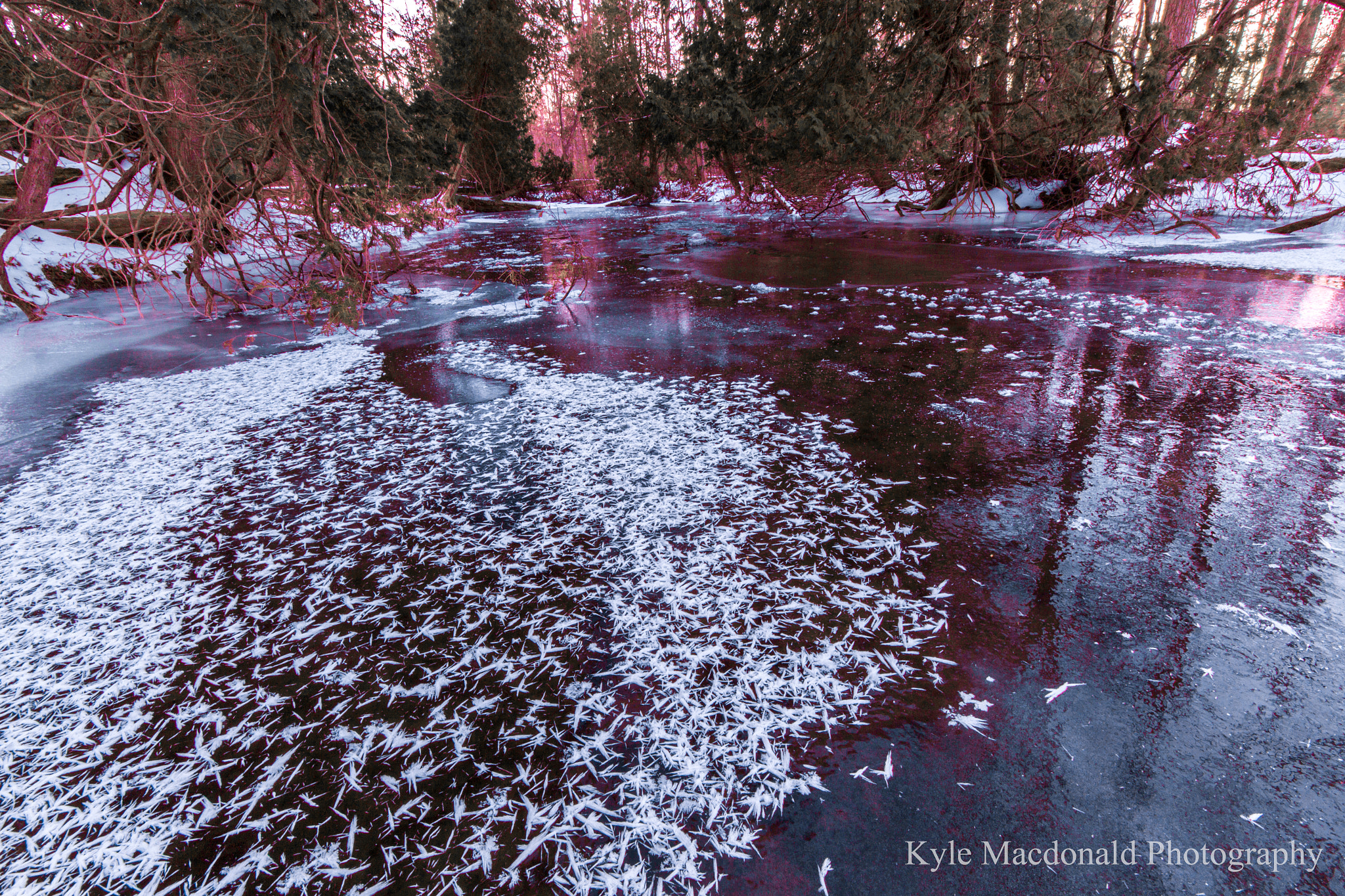Canon EF-S 10-18mm F4.5–5.6 IS STM sample photo. Crystal frost photography