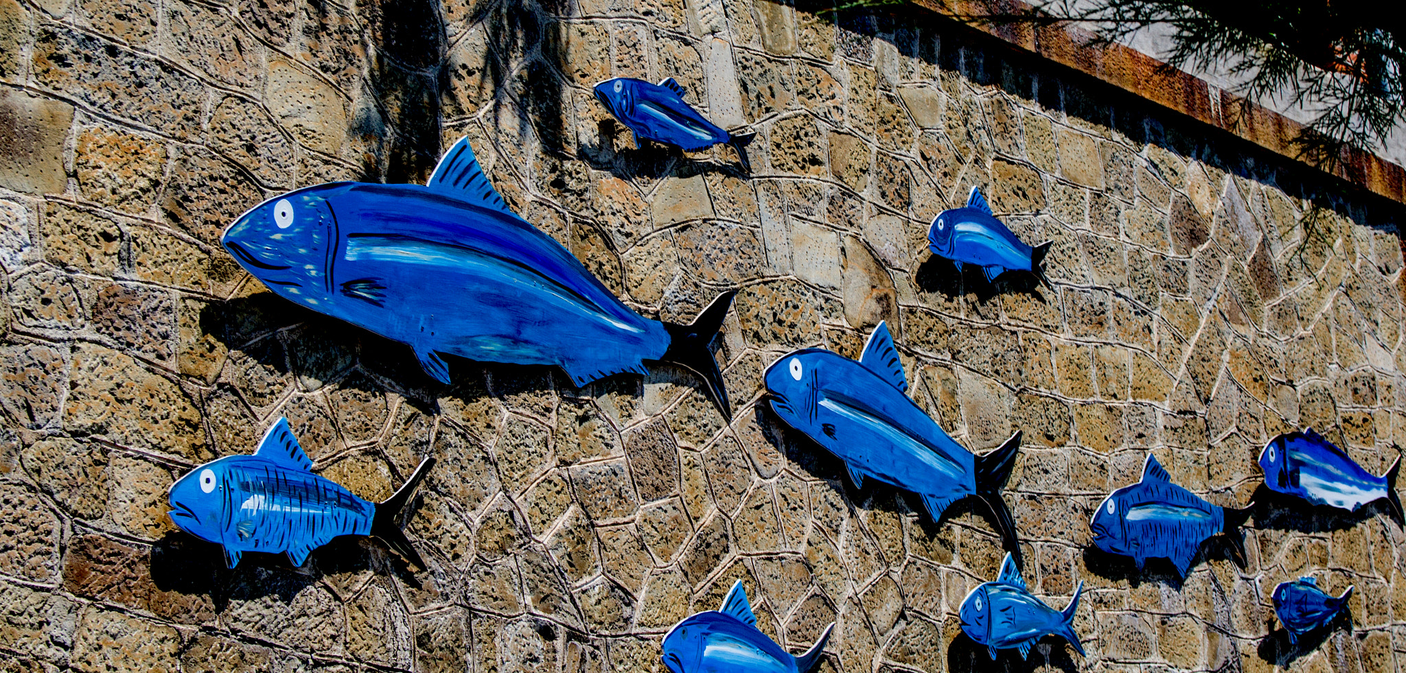 Canon EF-S 18-55mm F3.5-5.6 sample photo. Italy photography