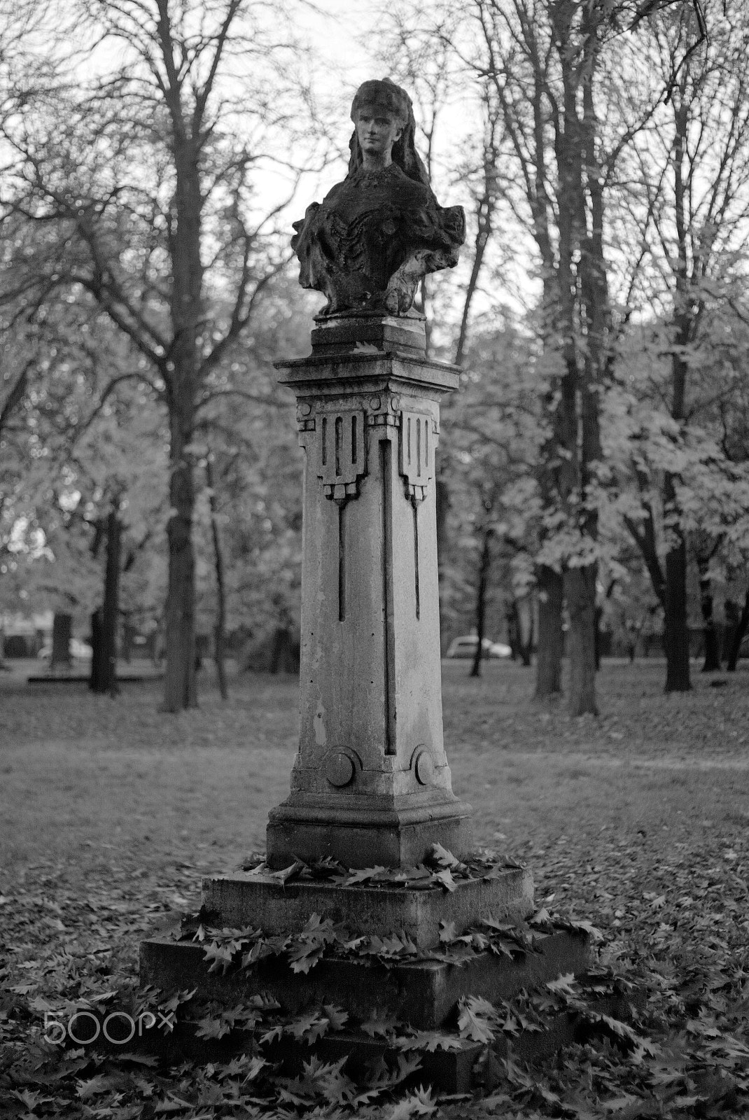 Canon EOS-1D sample photo. 640f4147.jpg photography