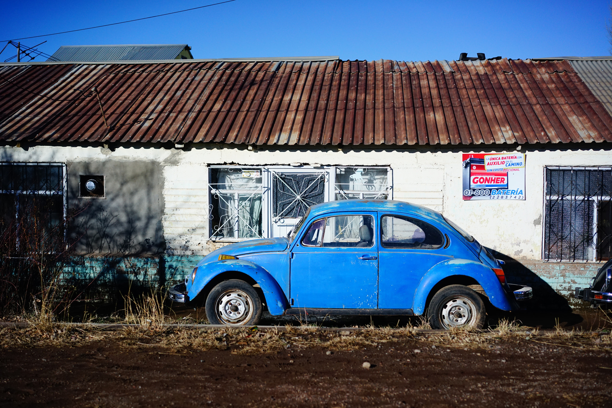 Sony a7R + Sony Sonnar T* FE 55mm F1.8 ZA sample photo. Sky blue bug photography