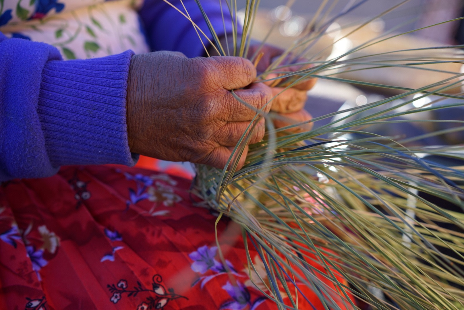 Sony a7R + Sony Sonnar T* FE 55mm F1.8 ZA sample photo. Wise hands photography