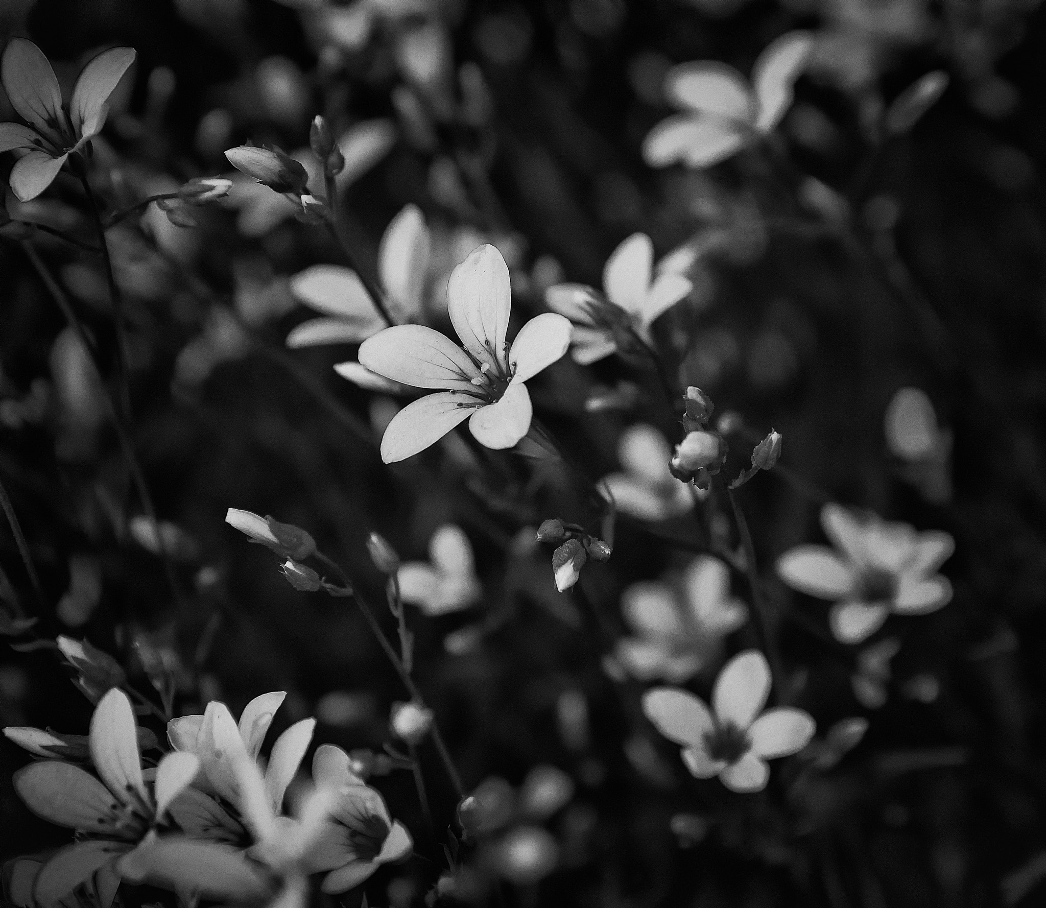 Canon EOS M sample photo. Day 407 photography