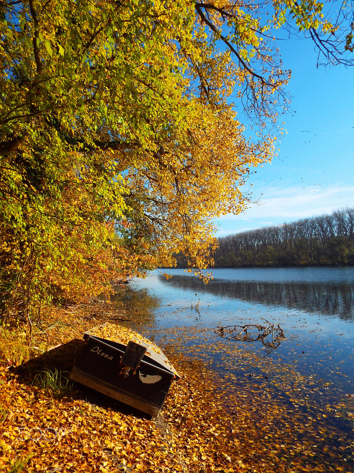 Fujifilm FinePix S8400W sample photo. Sunny day in autumn photography