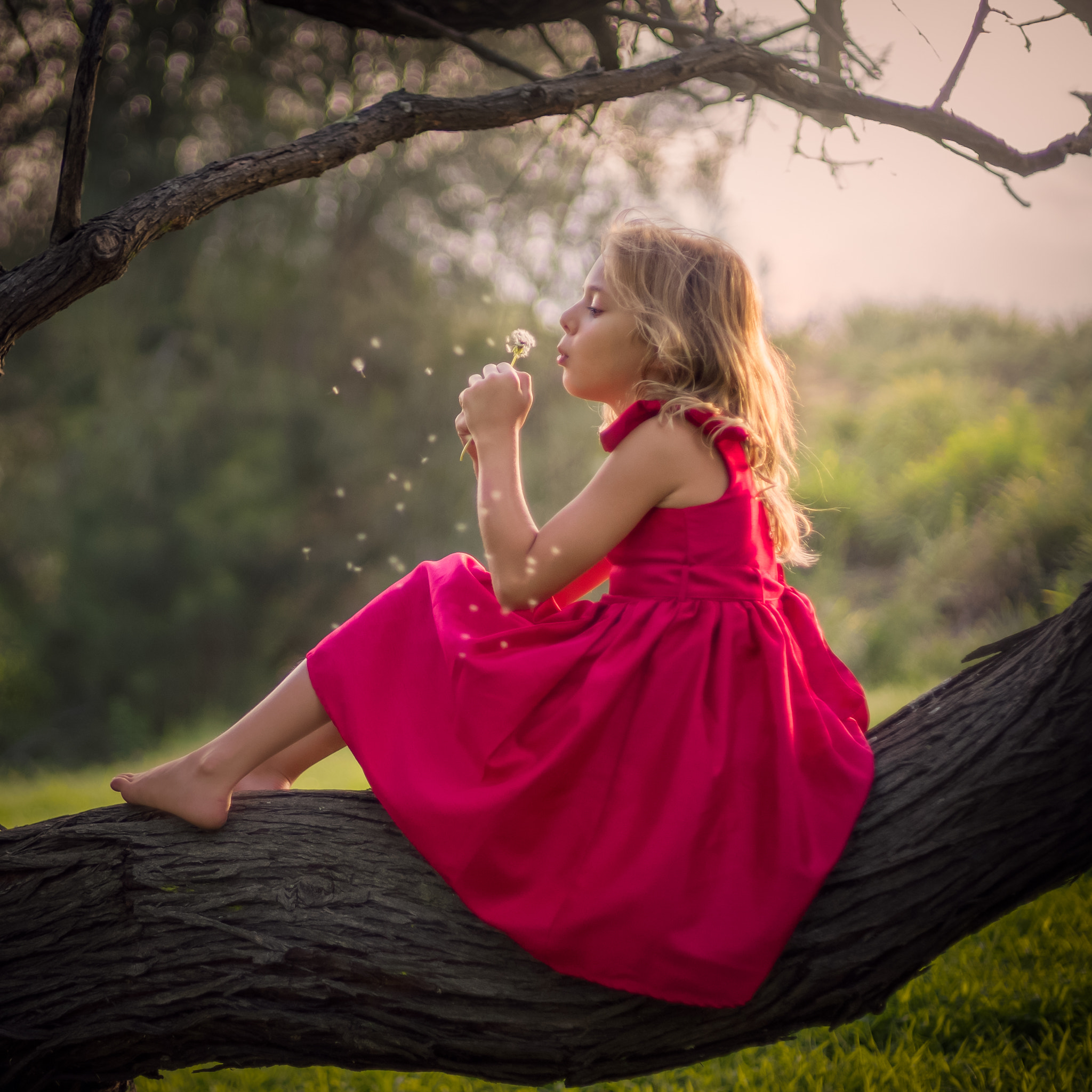 Sony a7S + Canon EF 50mm F1.4 USM sample photo. Dreamy photography