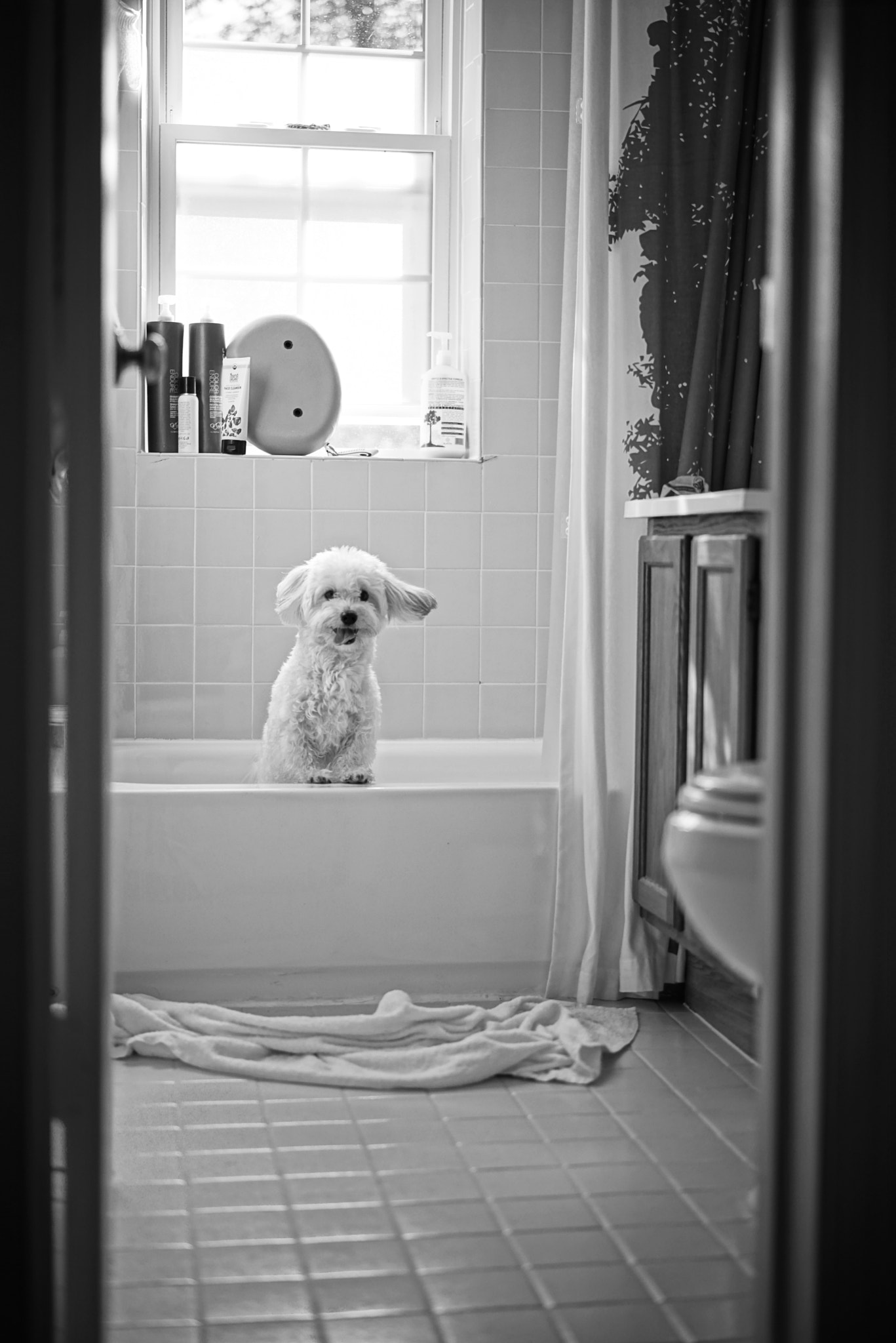 Sony a7R + Sony Sonnar T* FE 55mm F1.8 ZA sample photo. Bath time photography