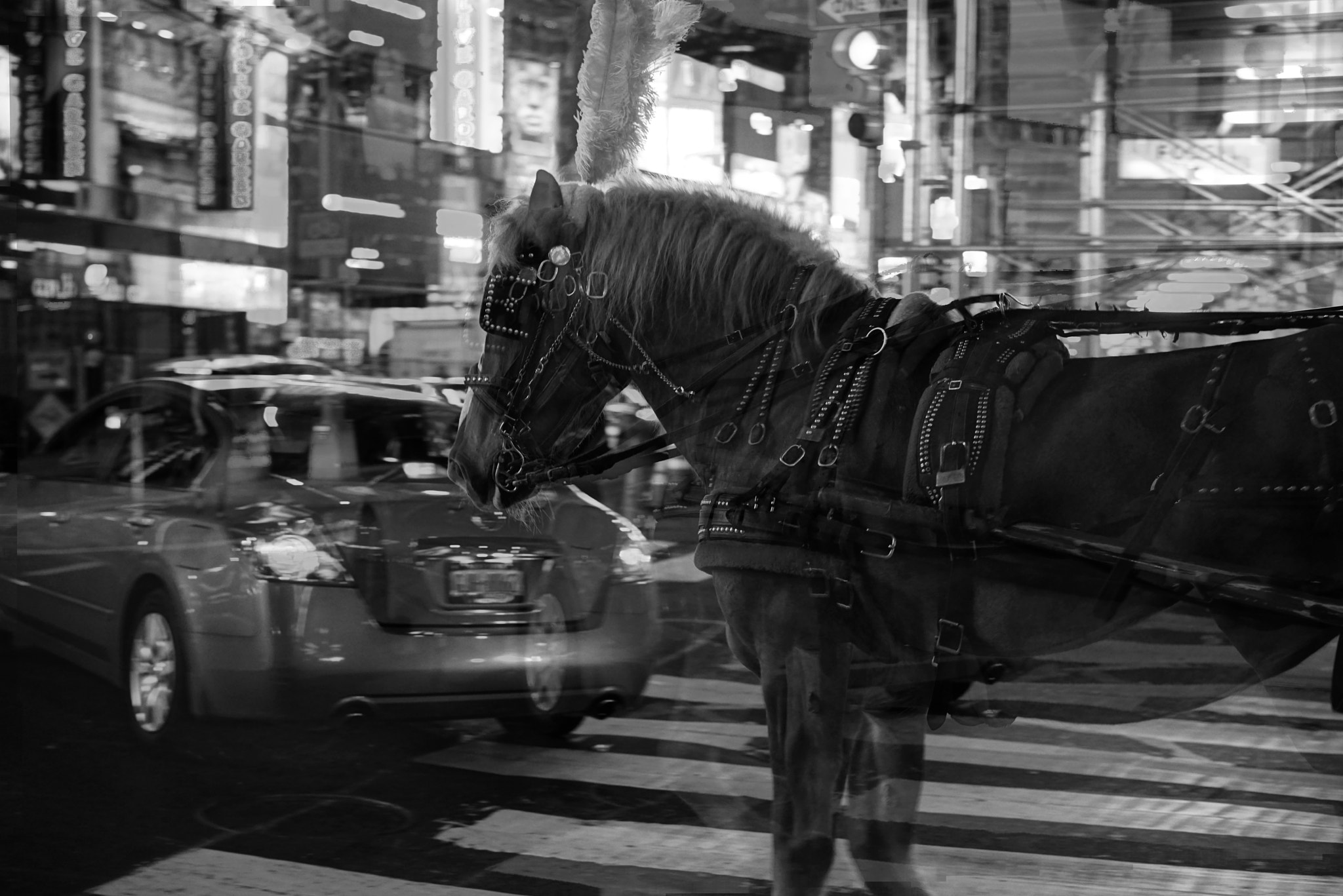 Sony a7R + Sony Sonnar T* FE 55mm F1.8 ZA sample photo. Focus photography