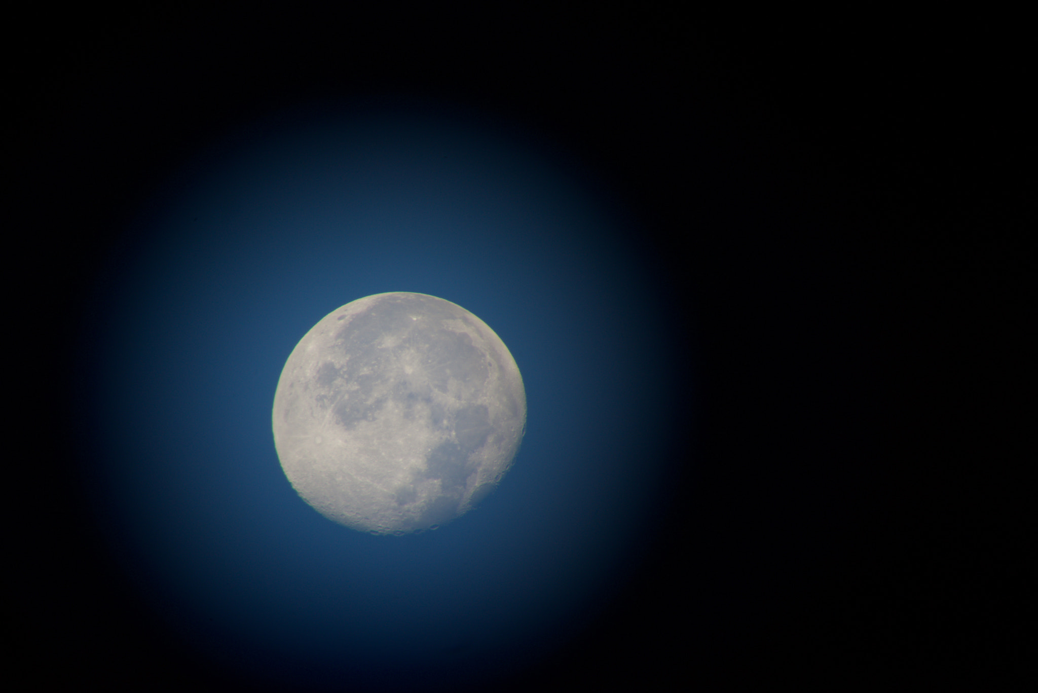 Sony a7R + Sony Sonnar T* FE 55mm F1.8 ZA sample photo. Up in the sky photography