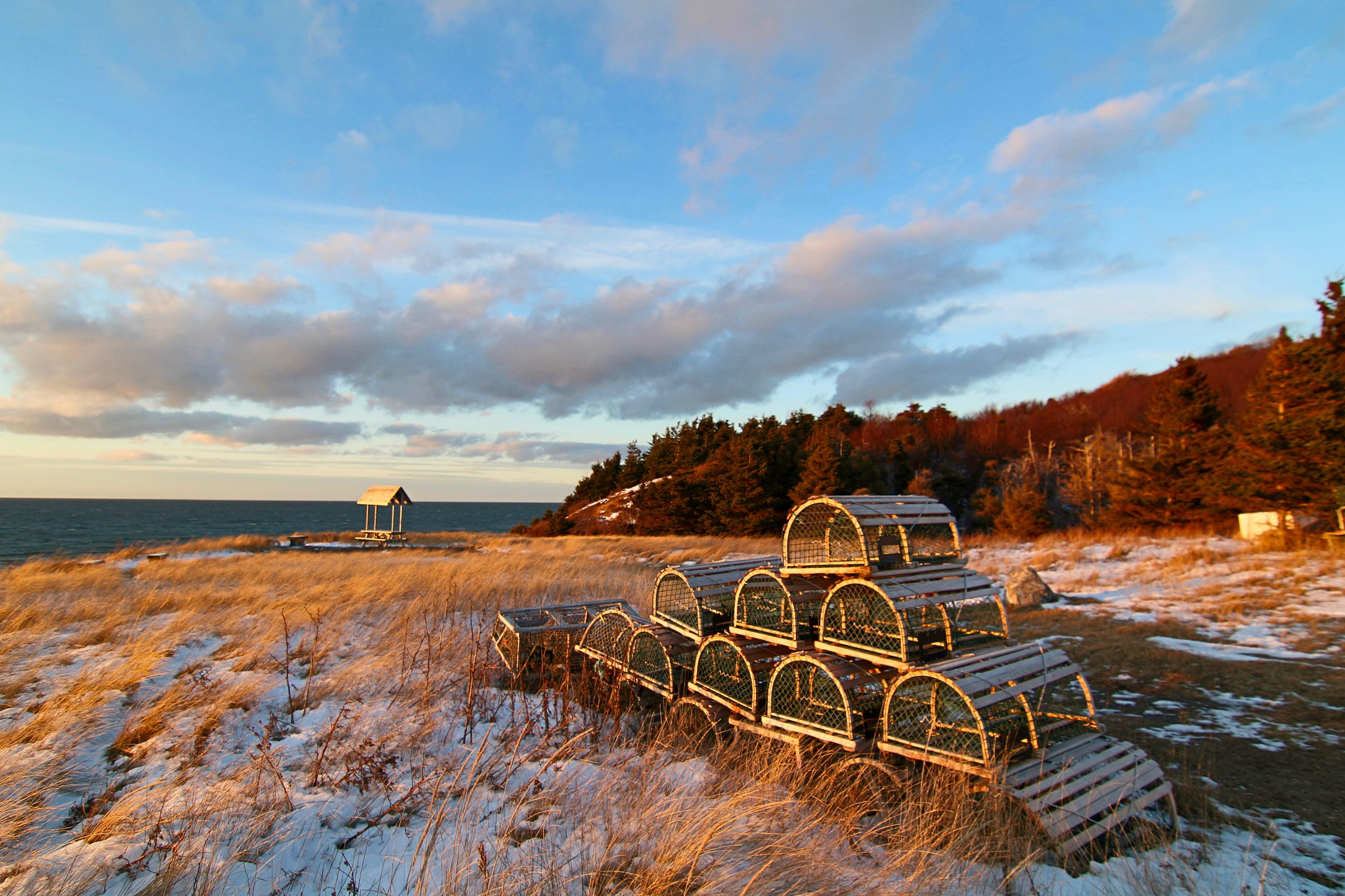 Canon EOS 100D (EOS Rebel SL1 / EOS Kiss X7) sample photo. Near livingstone cove, nova scotia photography