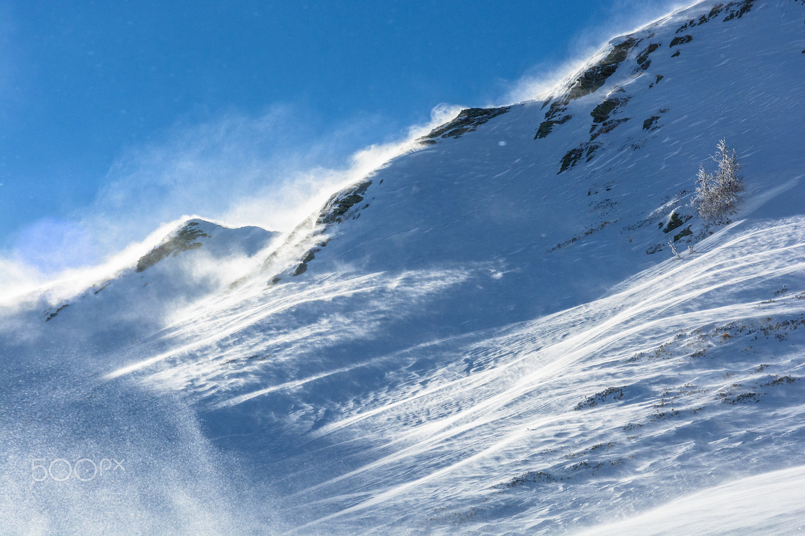 Sigma 17-70mm F2.8-4 DC Macro OS HSM | C sample photo. Winter wind photography
