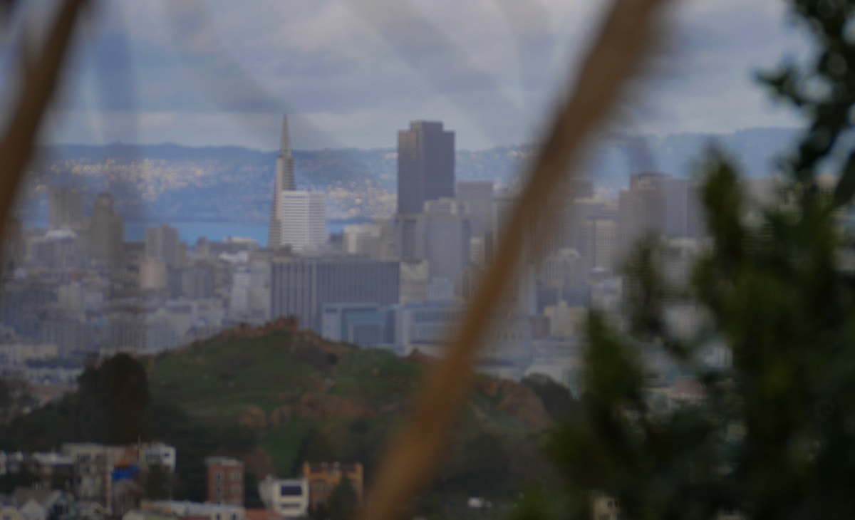 Panasonic Lumix G Vario 45-200mm F4-5.6 OIS sample photo. San francisco through the cattails photography