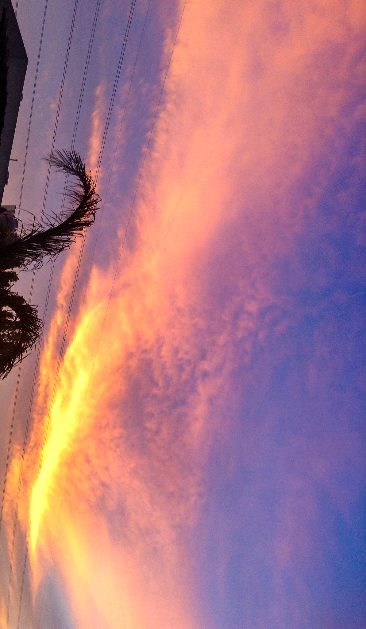 Apple iPod Touch (5 Gen) sample photo