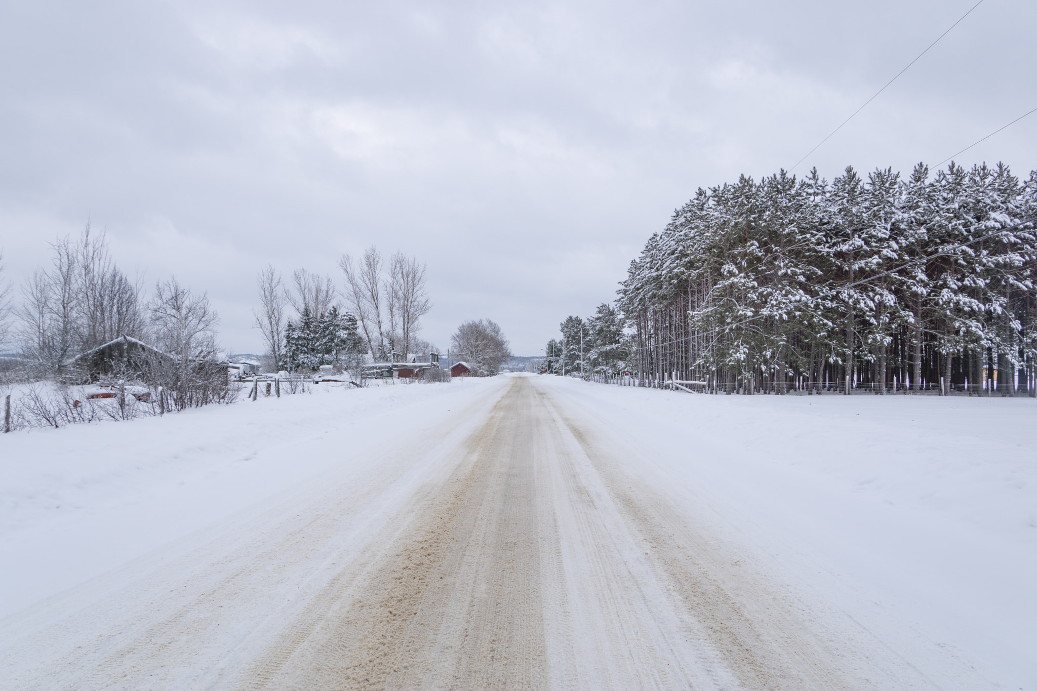Sony DT 18-250mm F3.5-6.3 sample photo. Winter wonderland photography