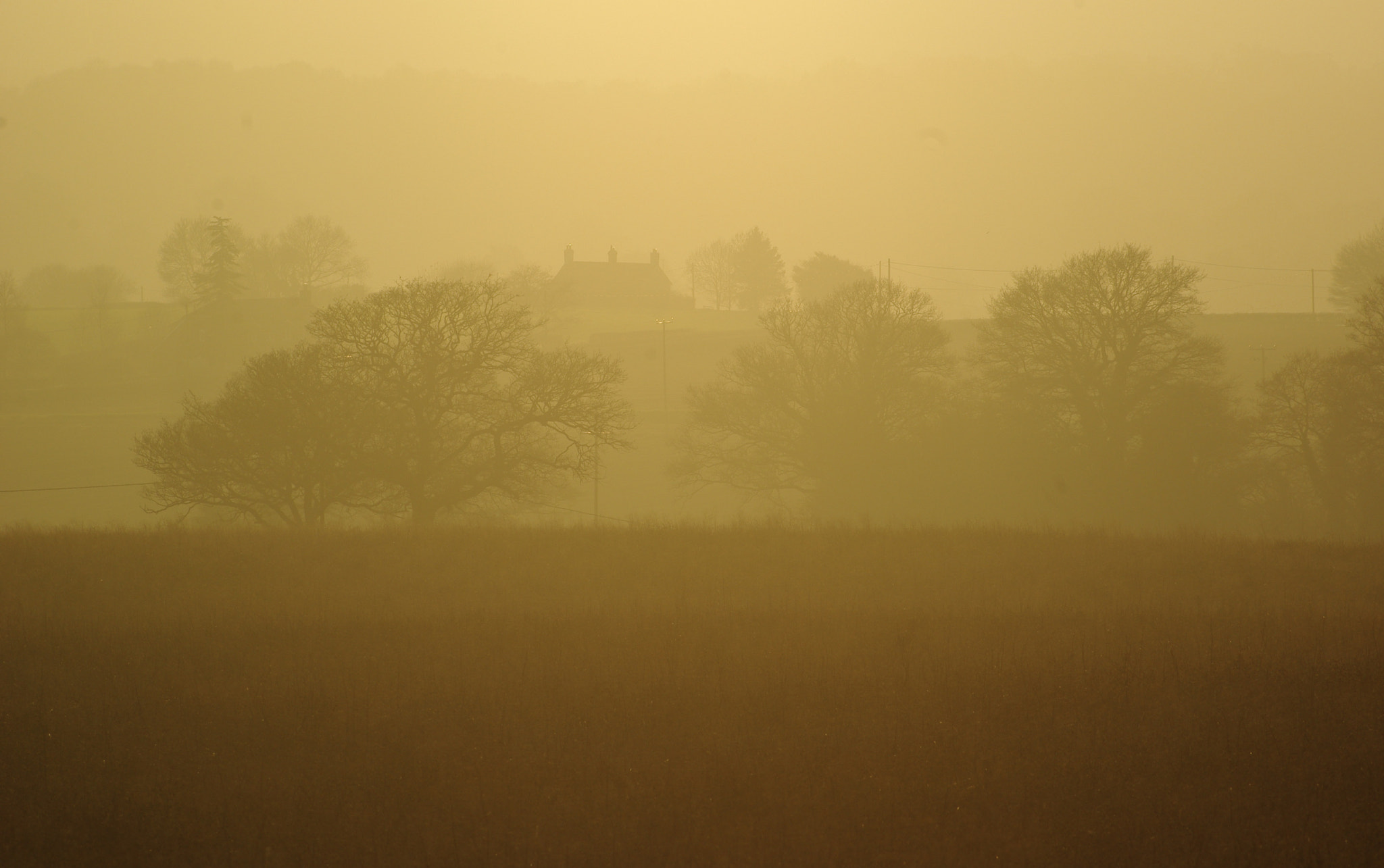 Pentax K200D sample photo. Misty mornings  photography