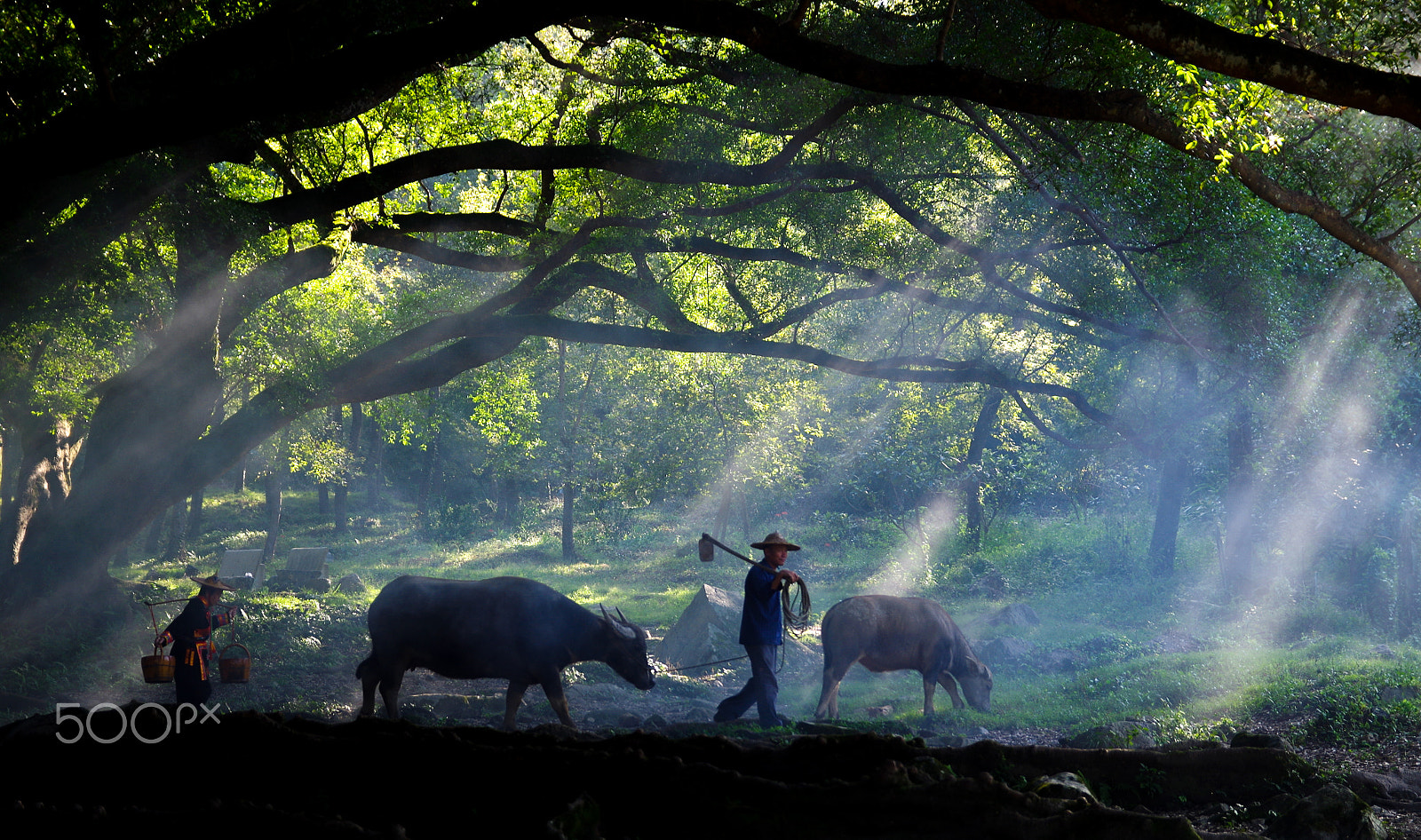Pentax K-01 sample photo. Travel in xiaopu photography