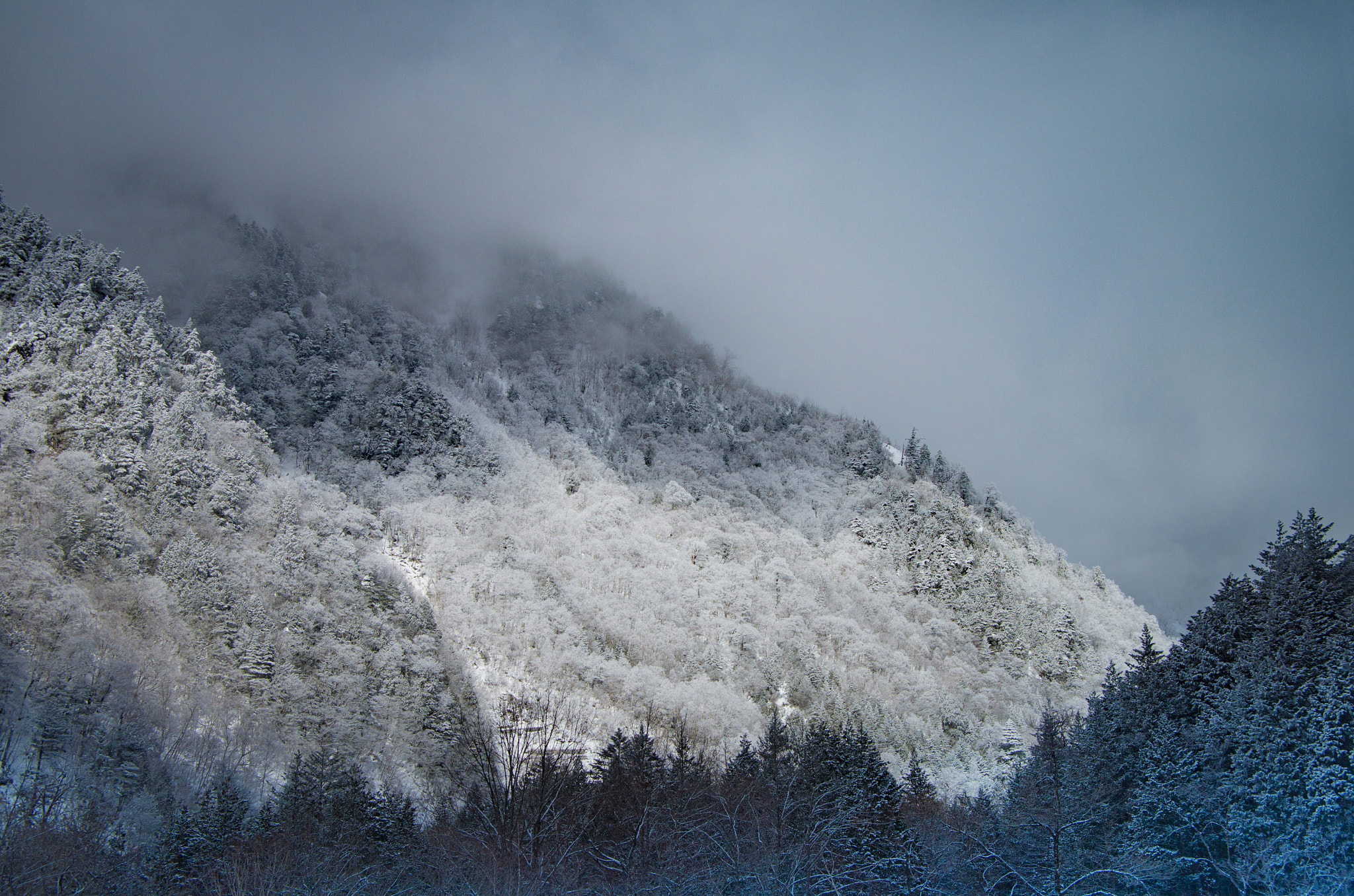 Pentax smc DA 16-45mm F4 ED AL sample photo. 名称未設定 photography