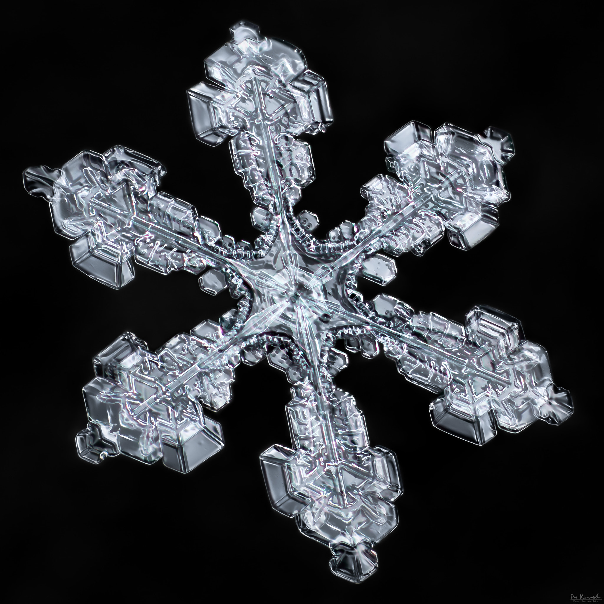 Canon MP-E 65mm F2.5 1-5x Macro Photo sample photo. Snowflake-a-day #73 photography
