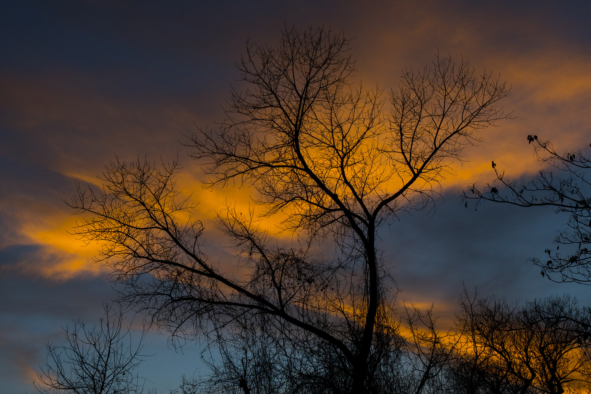 Sony a7R II + Sony Vario-Tessar T* E 16-70mm F4 ZA OSS sample photo. Winter sunset photography