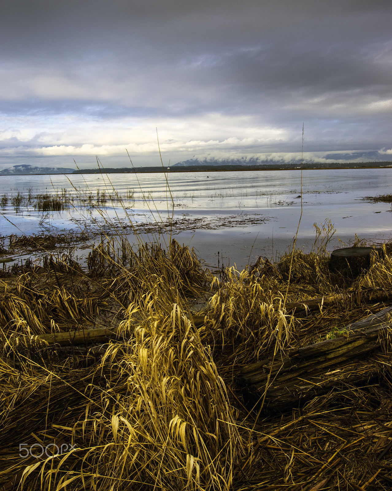 Nikon AF-S Nikkor 14-24mm F2.8G ED sample photo. Winter marsh 1 photography