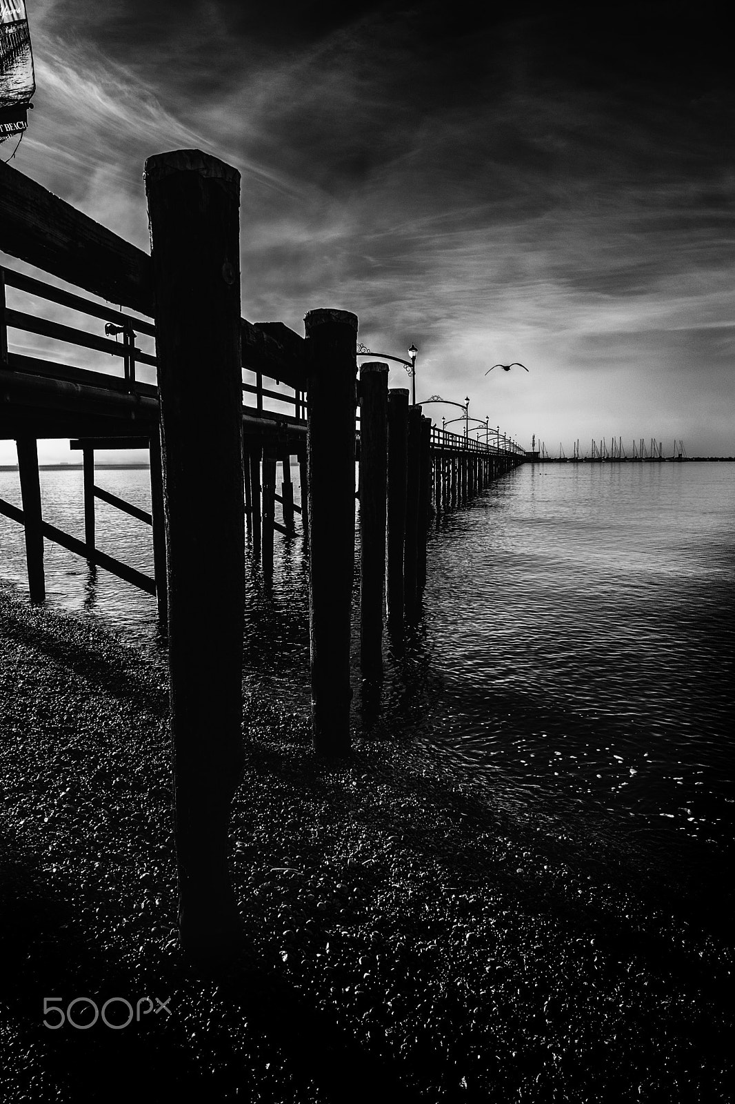 Nikon AF-S Nikkor 14-24mm F2.8G ED sample photo. Pier no.5 photography