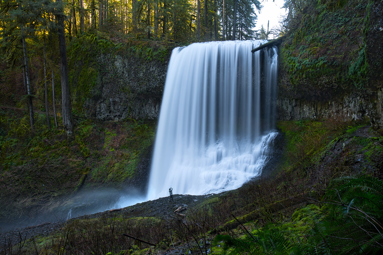 Sony a7R II + Canon EF 17-40mm F4L USM sample photo. Up close photography