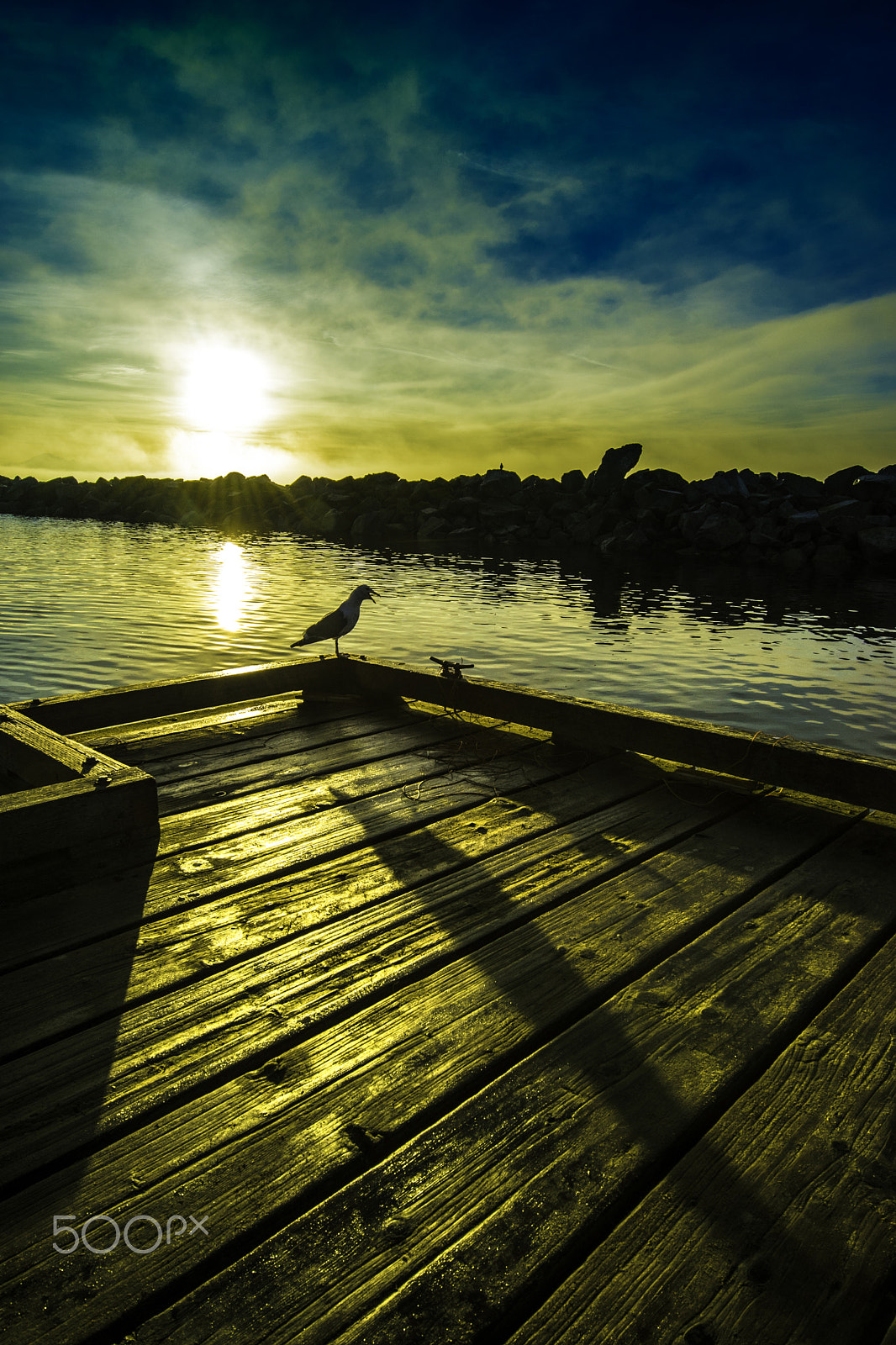 Nikon AF-S Nikkor 14-24mm F2.8G ED sample photo. The morning call photography